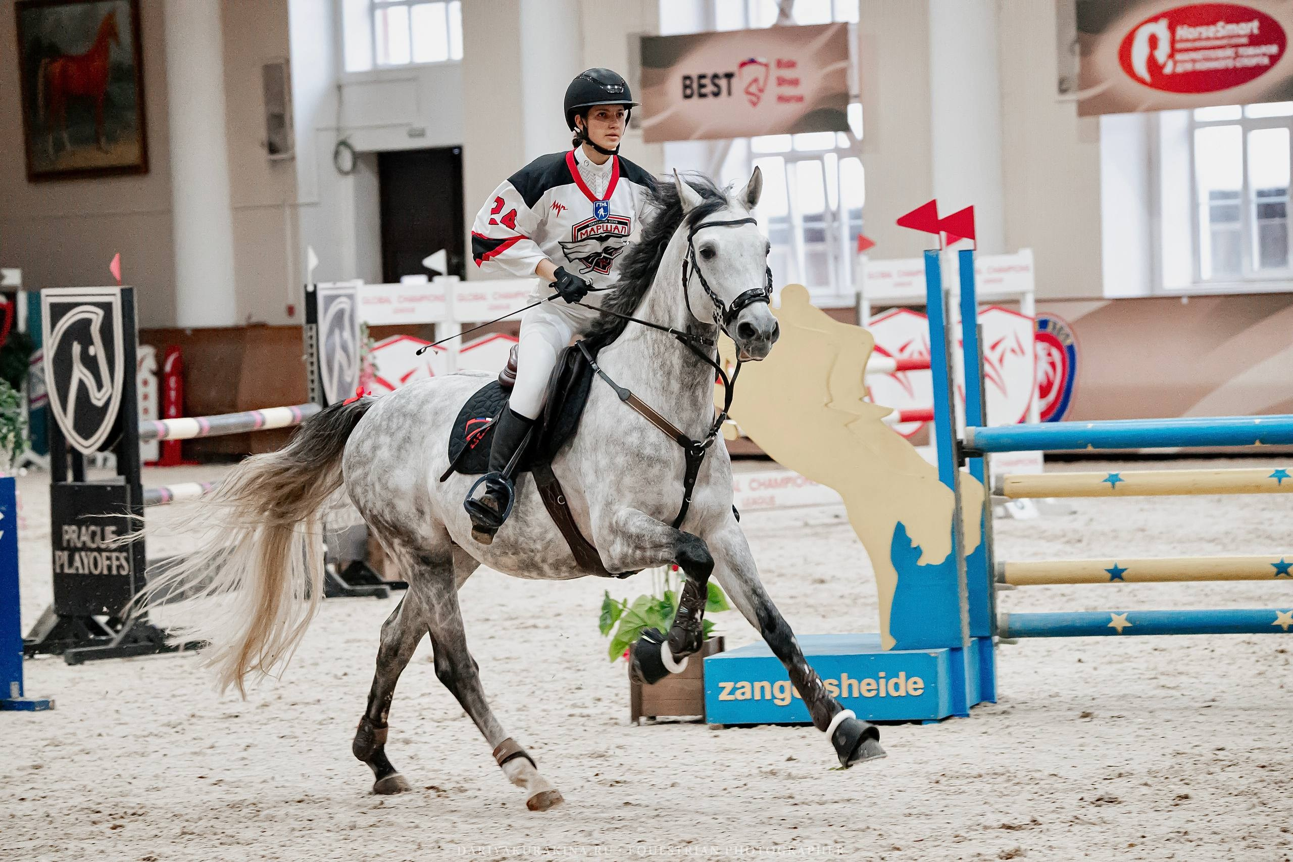 НОВОГОДНИЕ КЛУБНЫЕ СОРЕВНОВАНИЯ ПО КОНКУРУ. Куракина Дарья • Конный фотограф