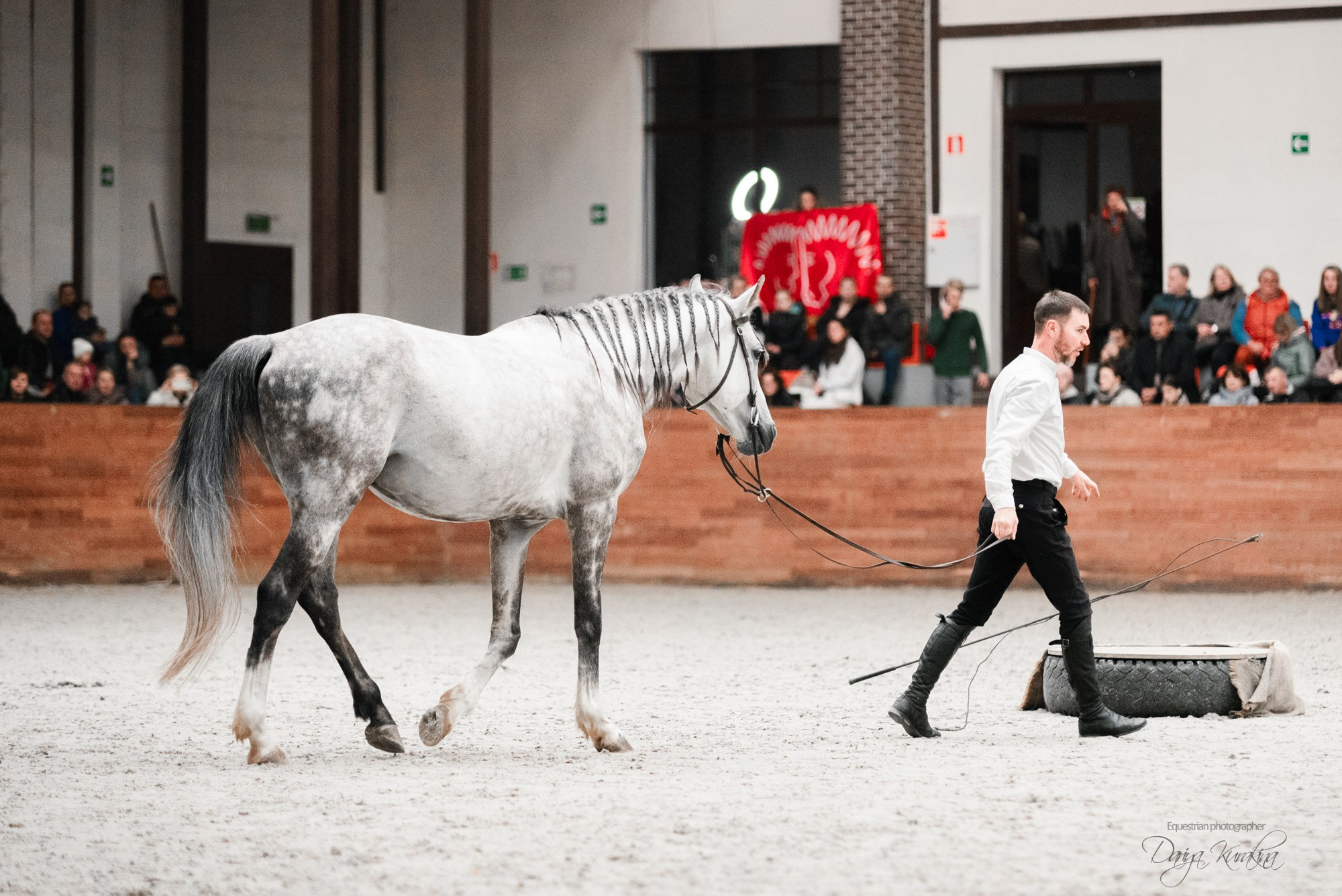 8-я международная выставка Конная Россия. Конный фотограф Куракина Дарья • Фотосессии с лошадьми