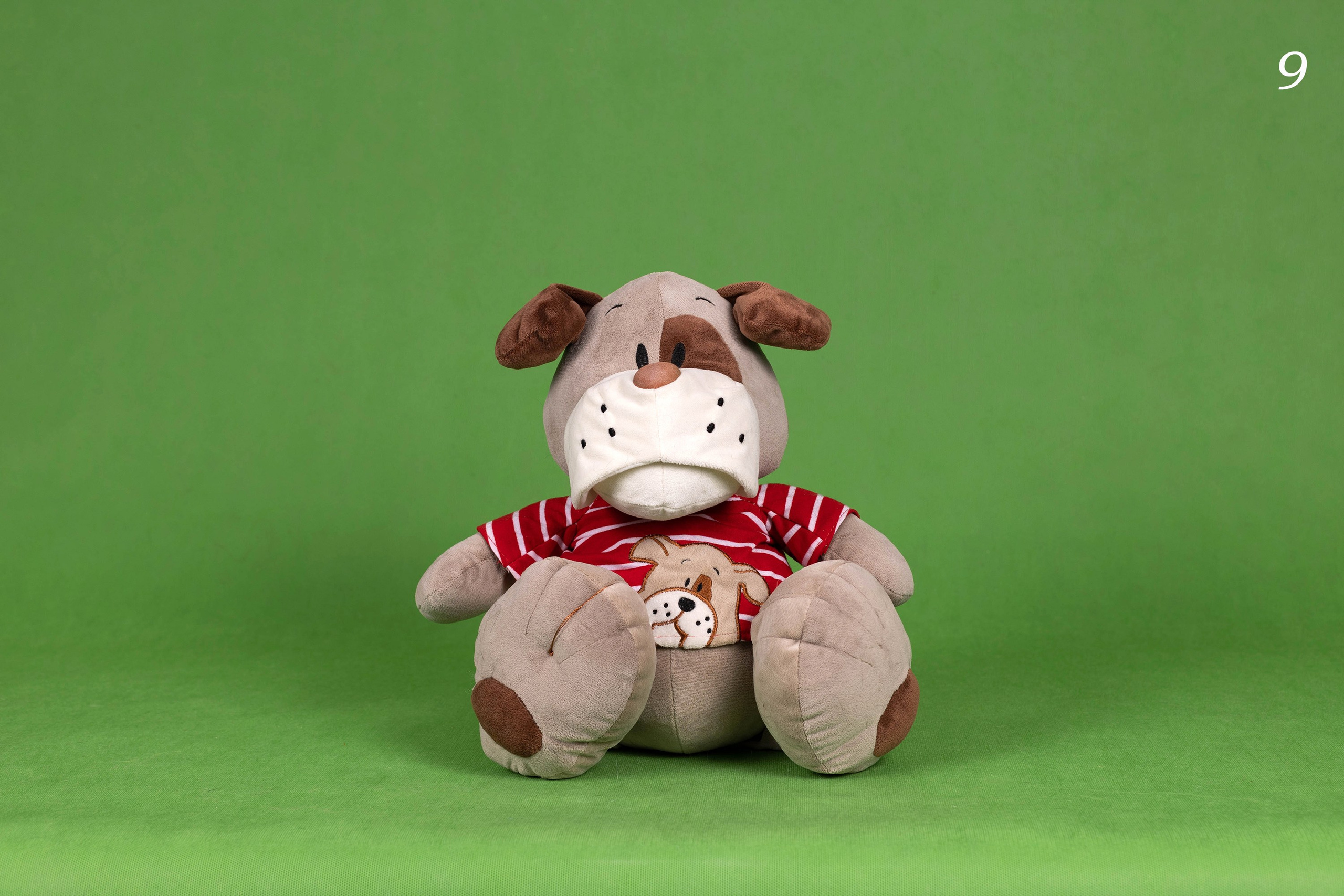 Фоны спектра радуги. Фотограф-анималист в Омске Екатерина Маричева