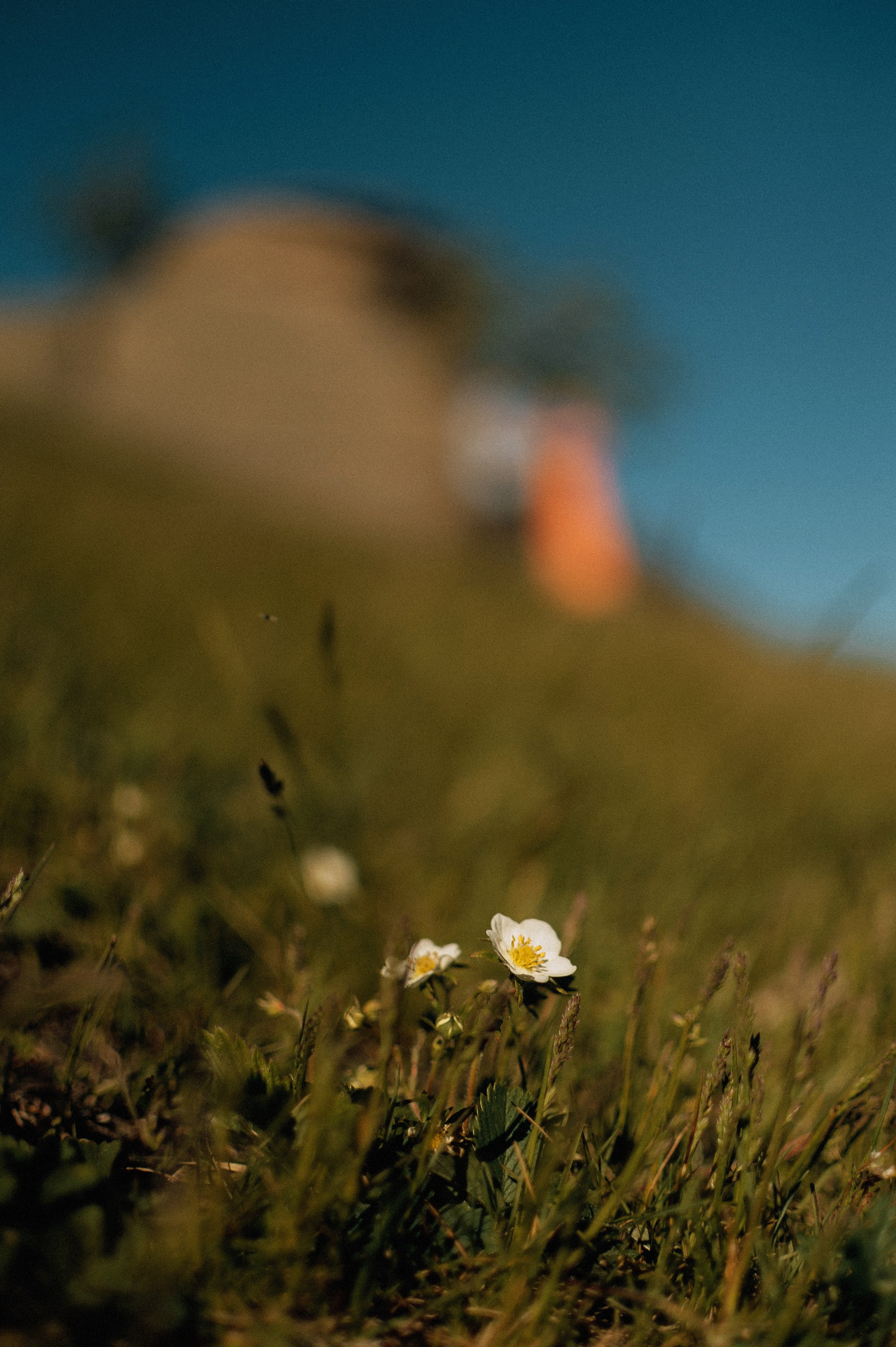 Роман+Катя. Фотограф в Екатеринбурге Артём Зайнетдинов