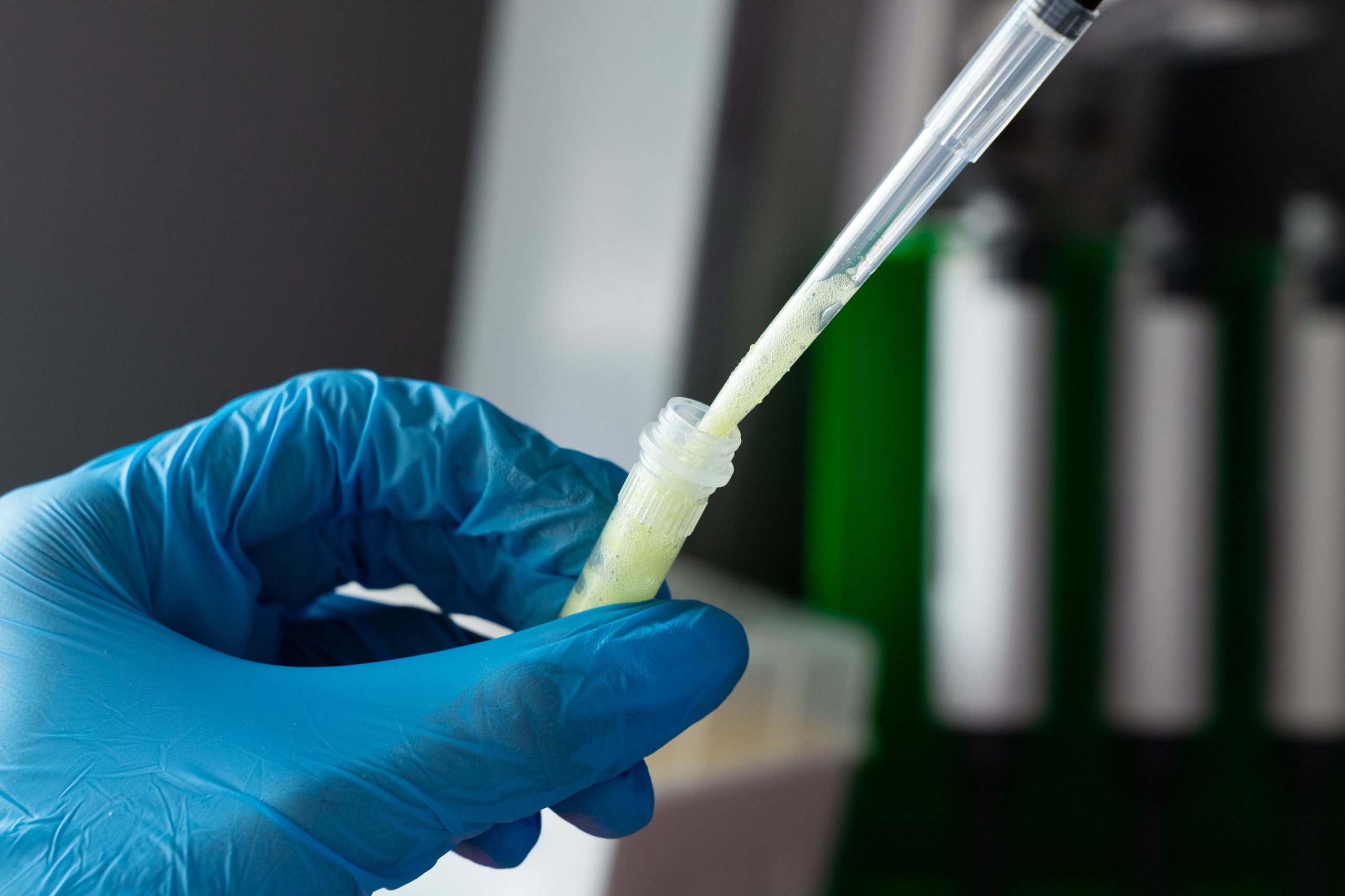 Международная конференция РАН