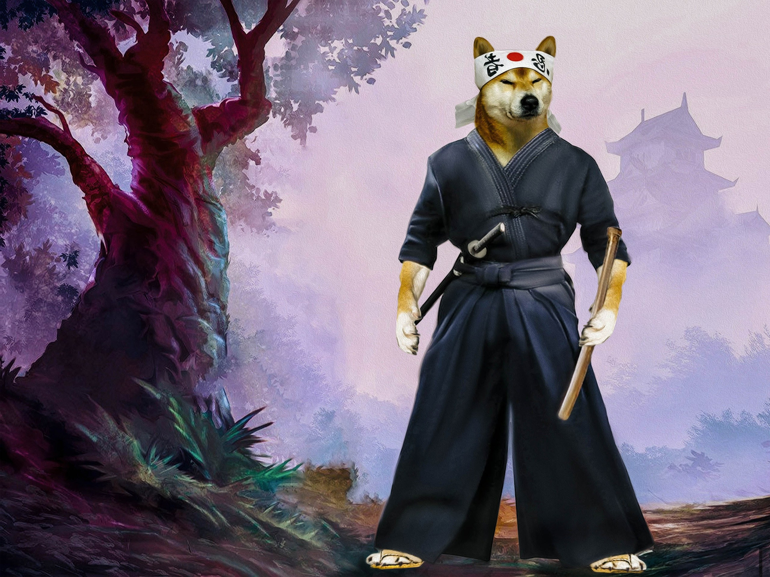 collage in Photoshop Shiba Inu