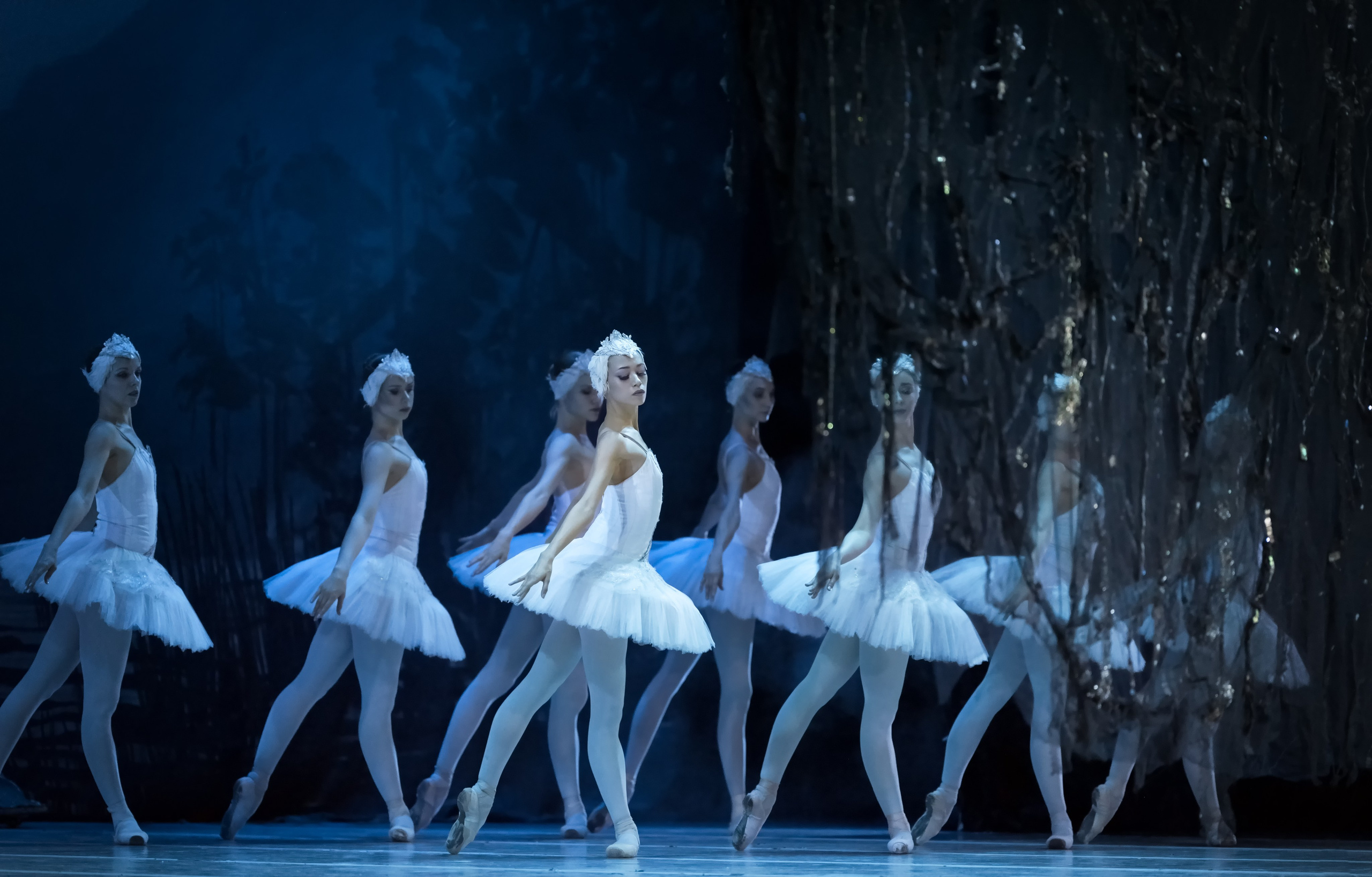 Лебединое озеро. Балет Наталии Касаткиной и Владимира Василёва. Балетный фотограф Москва Майоров Николай