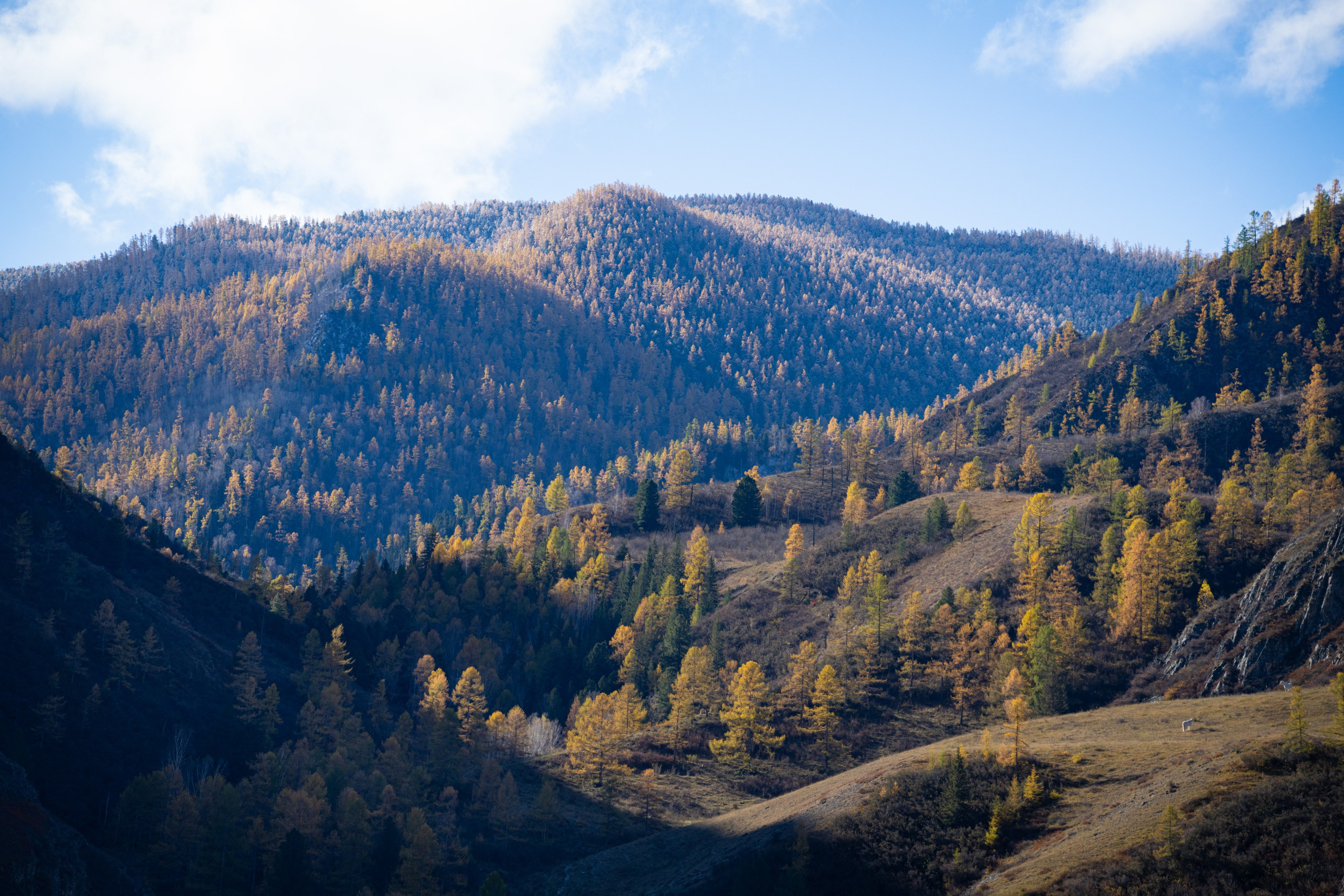 Чуйский тракт. Фотографии Тиграна Худавердяна