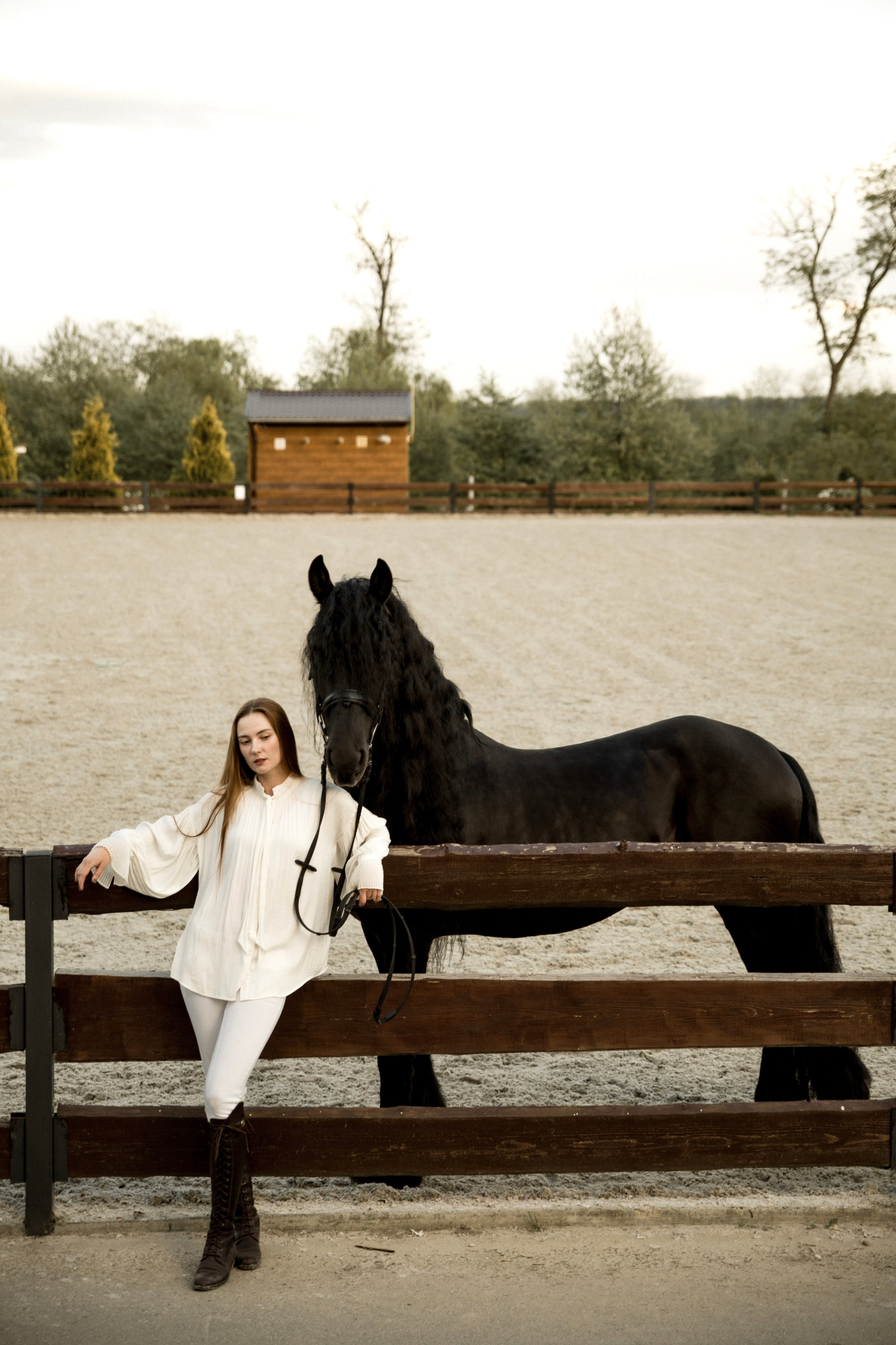 Съемка с лошадью фризской породы. Семейный и конный фотограф в Краснодарском крае и Адыгее
