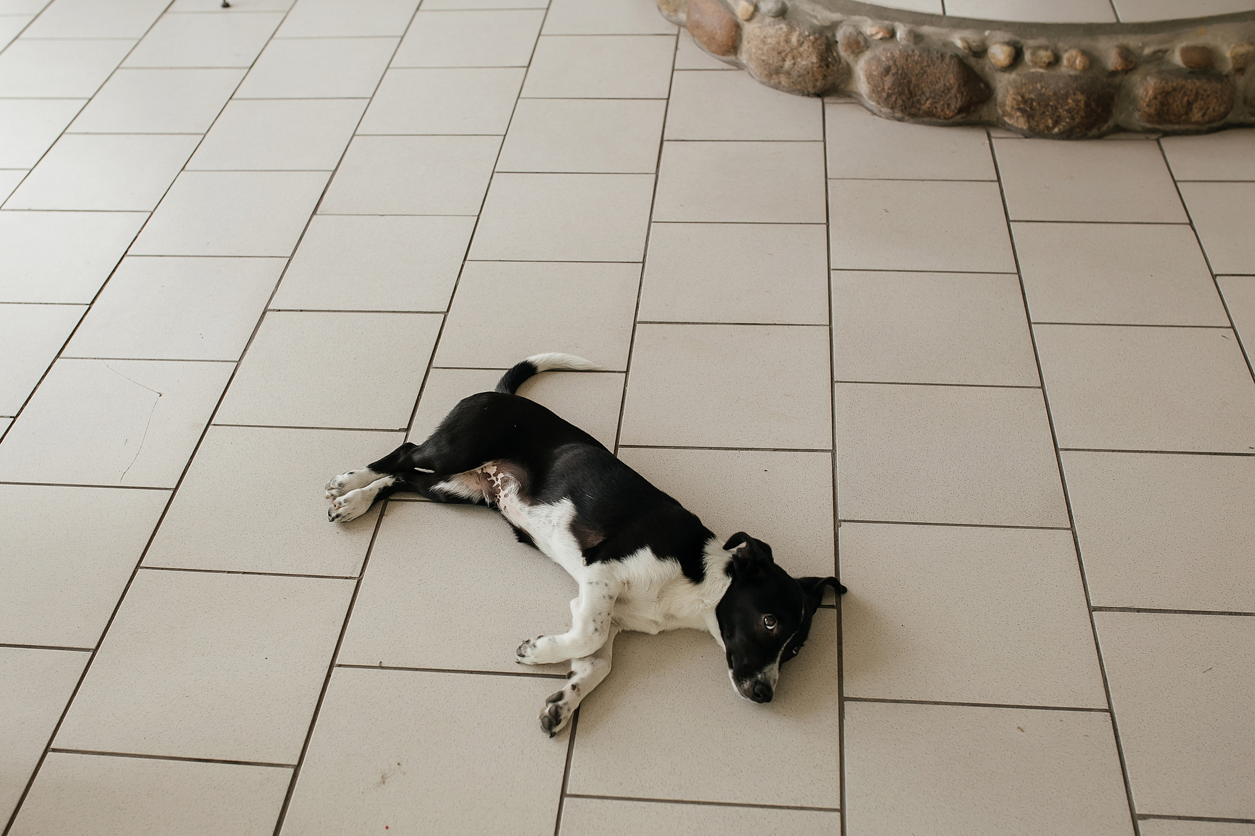 Кристина и Алексей. Фотограф Минск Татьяна Ильич