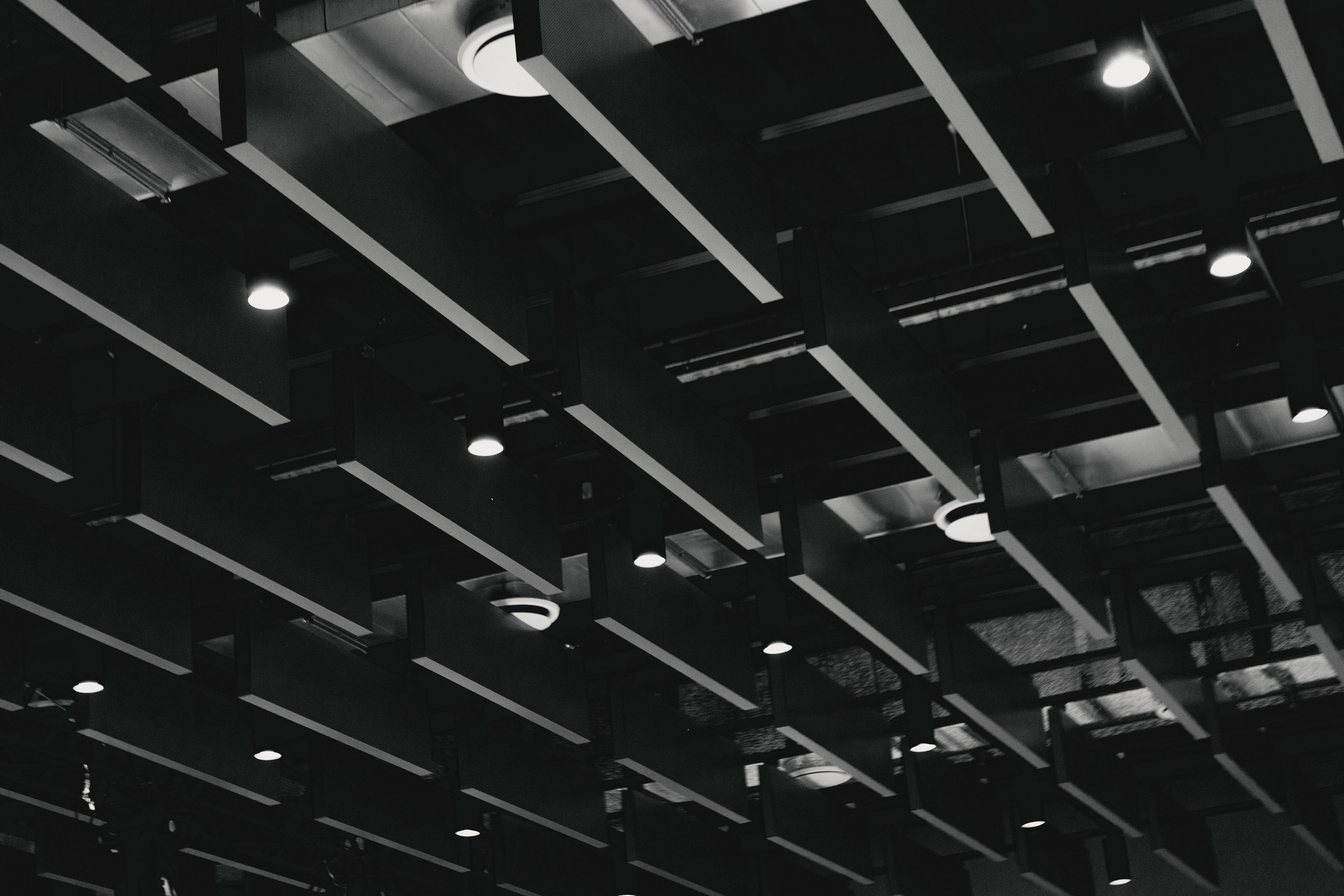 Мой стартап. LEVORIGINAL