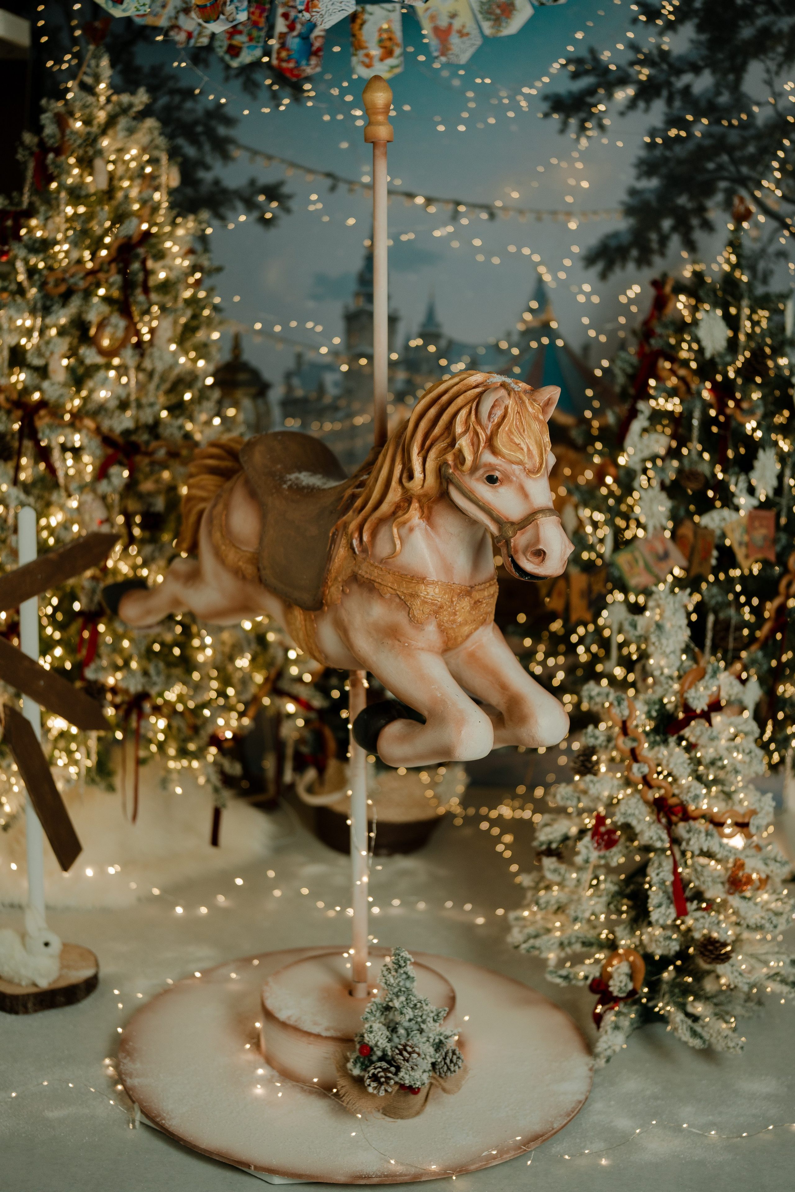 Фотопроекты