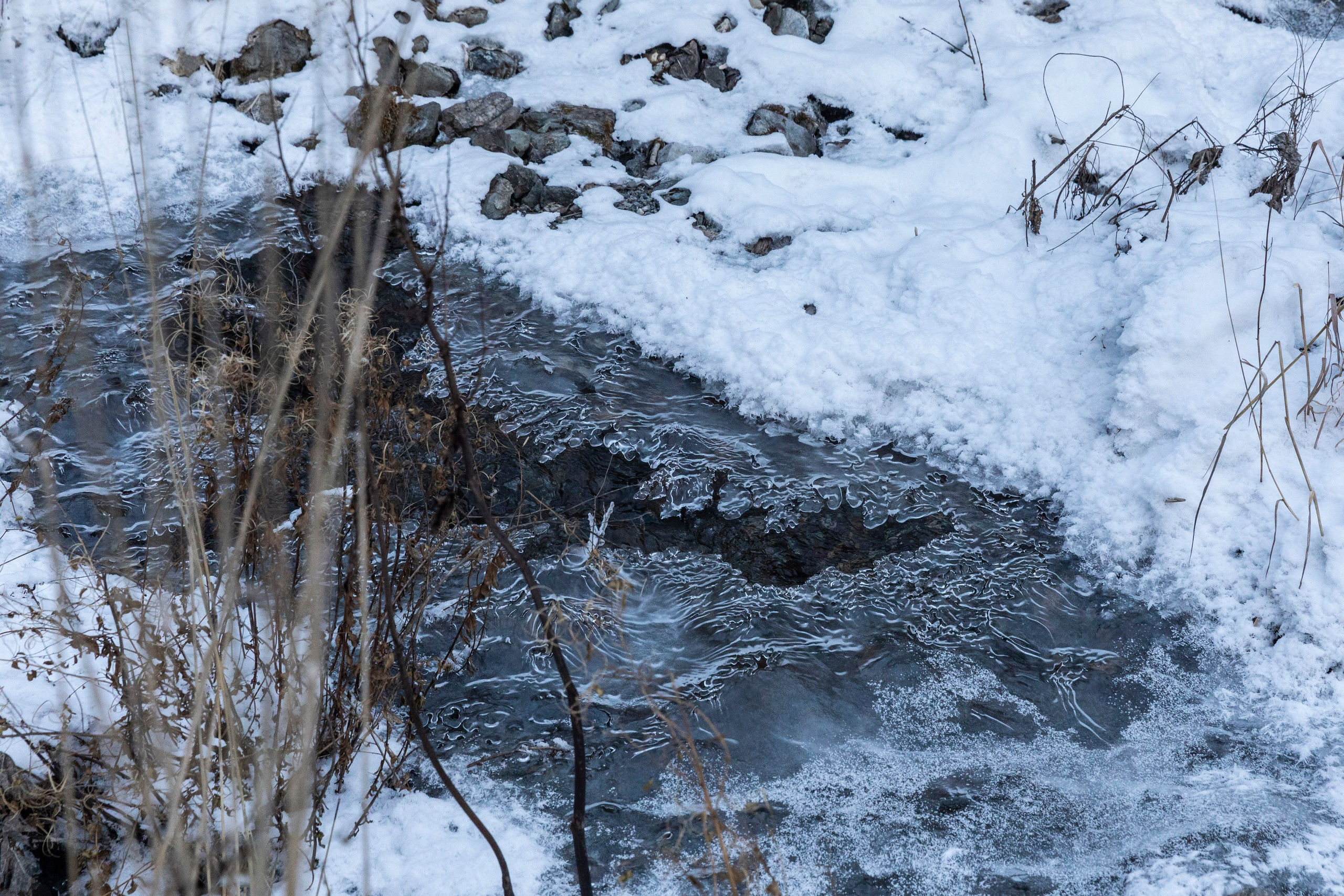 Алтай в декабре. Марина Захарова — Фотограф. Москва / Marina Zakharova — Photographer