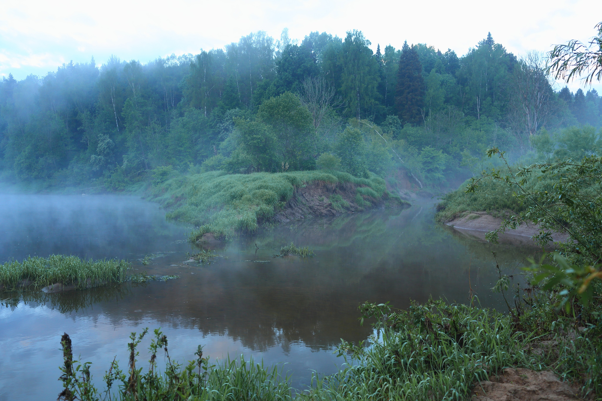 Туманным утром. Свадебный и репортажный фотограф в Ярославле и Санкт-Петербурге Роман Микрюков