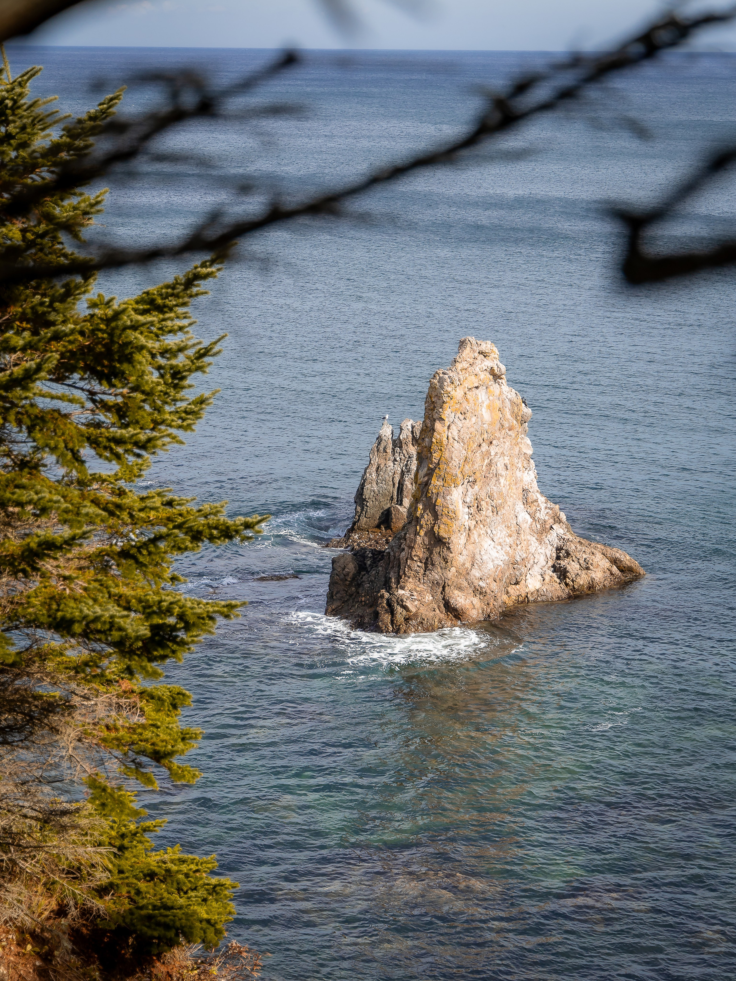 Мыс Великан. Инга Кузьминская ТОП-фотограф г. Корсаков