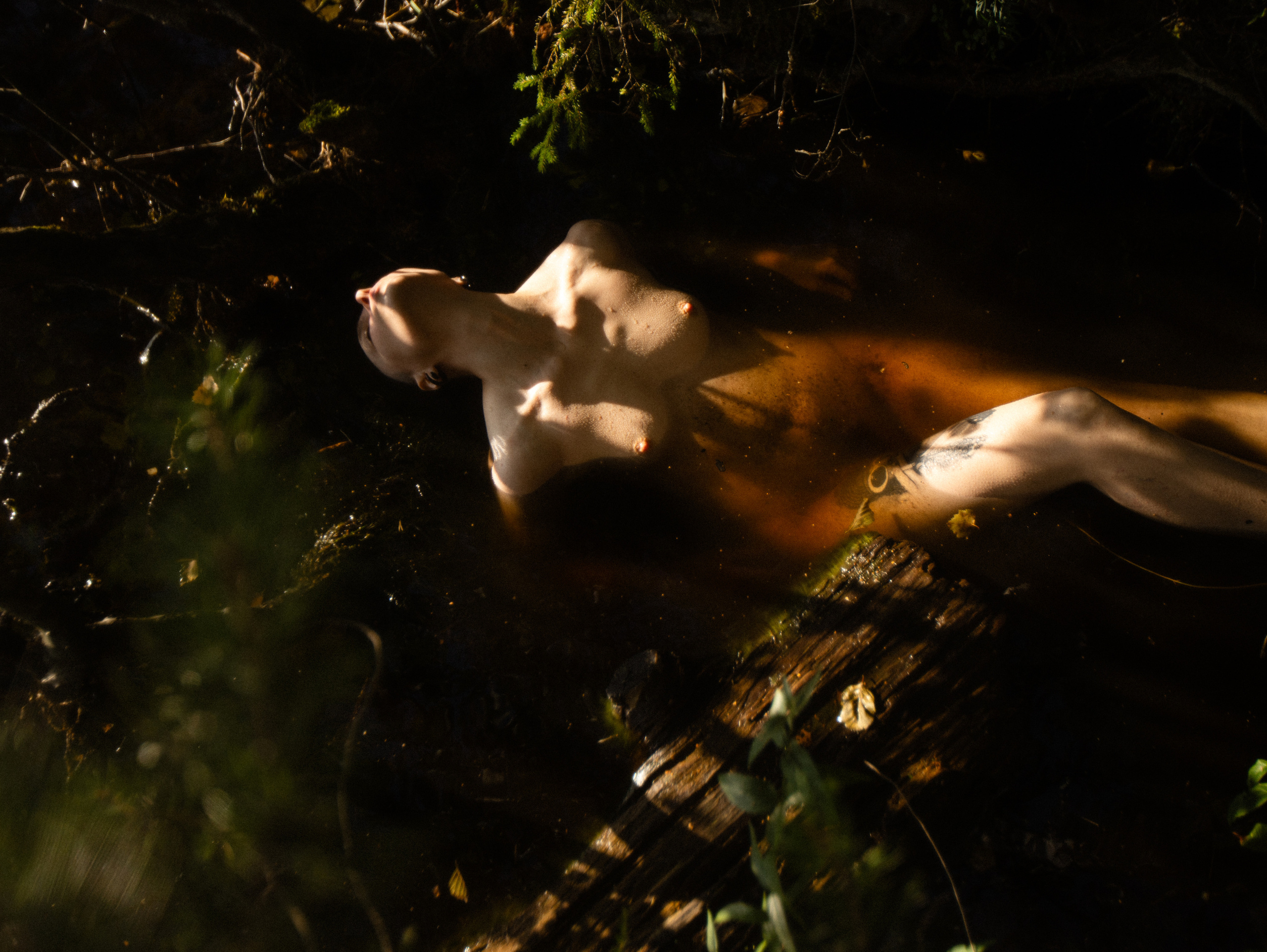 Фотография НЮ голая женщина портрет мария немм maria nemm заказать фотосессию заказать голую фотосессию чувственный портрет эмоциональный портрет 