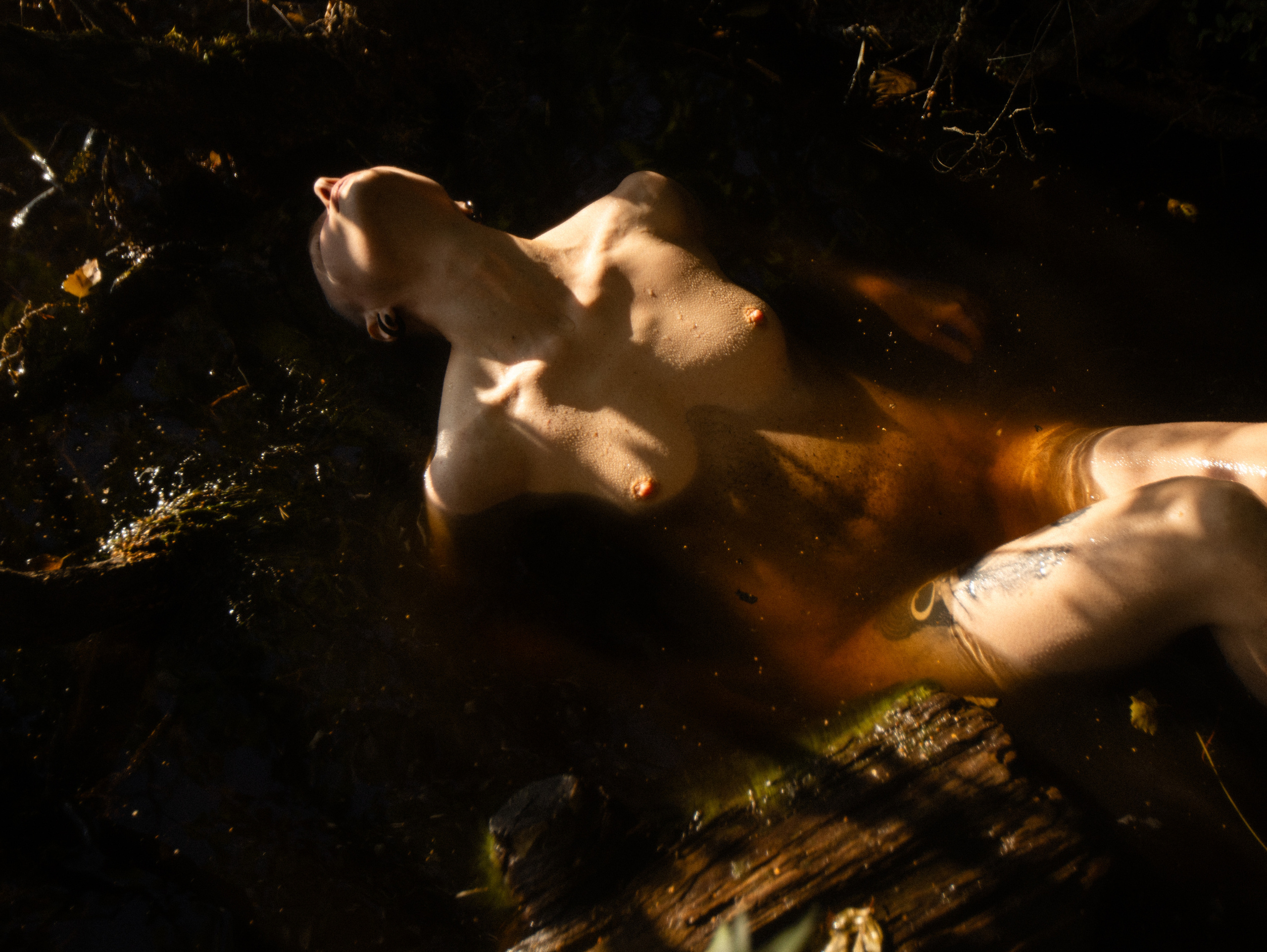 Фотография НЮ голая женщина портрет мария немм maria nemm заказать фотосессию заказать голую фотосессию чувственный портрет эмоциональный портрет 