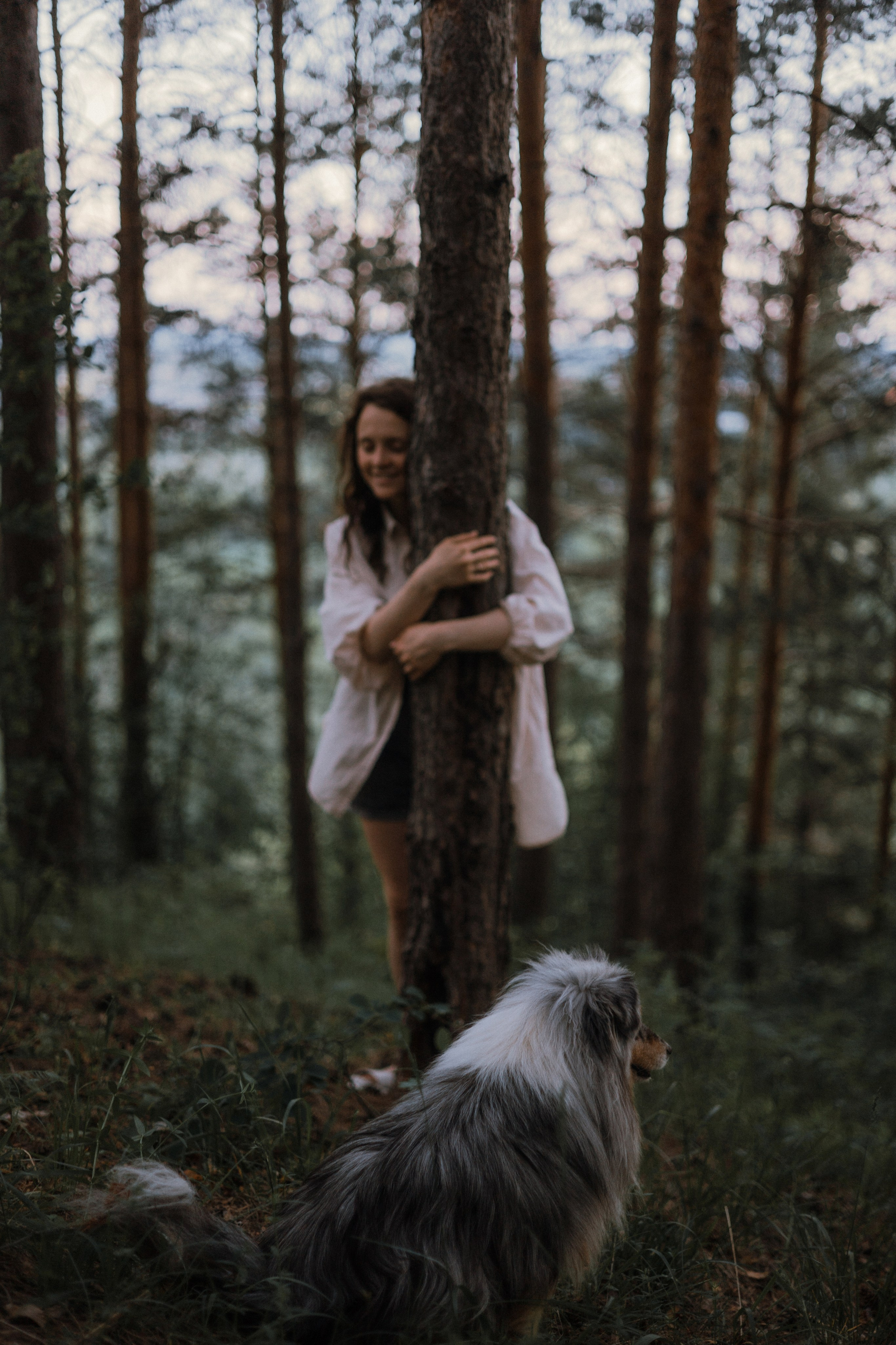 Настя, Шуня, Милка и Тигуан. Фотограф-анималист Богданова Полина