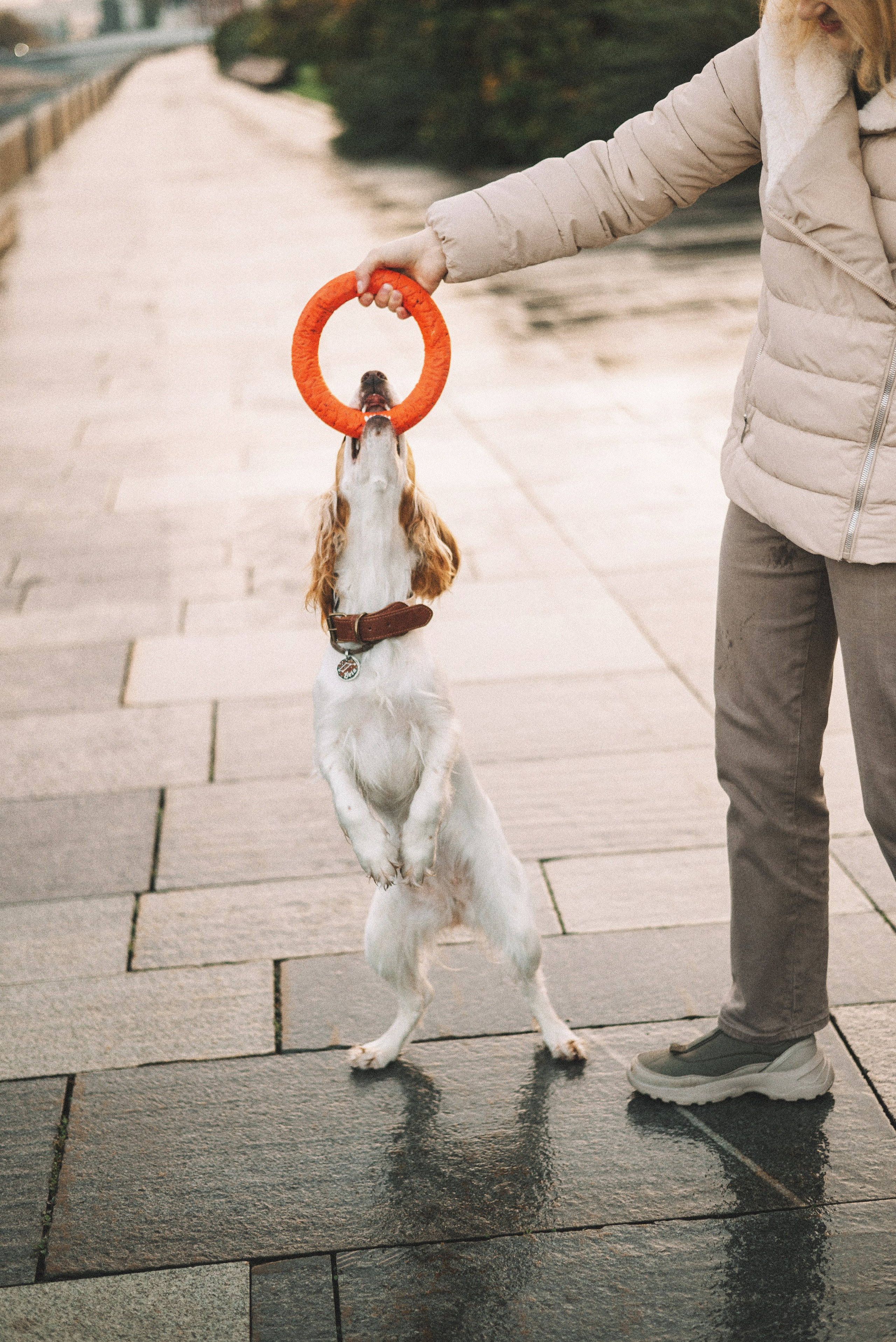 Маша и Вега. Фотограф-анималист Богданова Полина