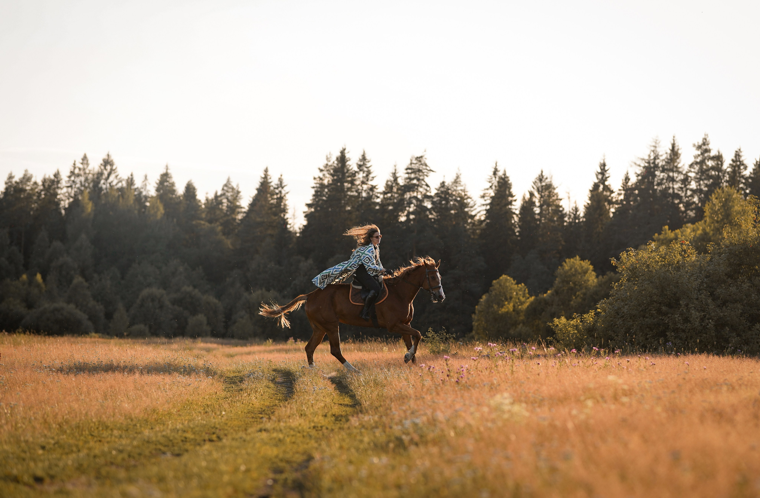 Лера Джон и Диамант. Фотограф-анималист в Санкт-Петербурге Яна Мартынова