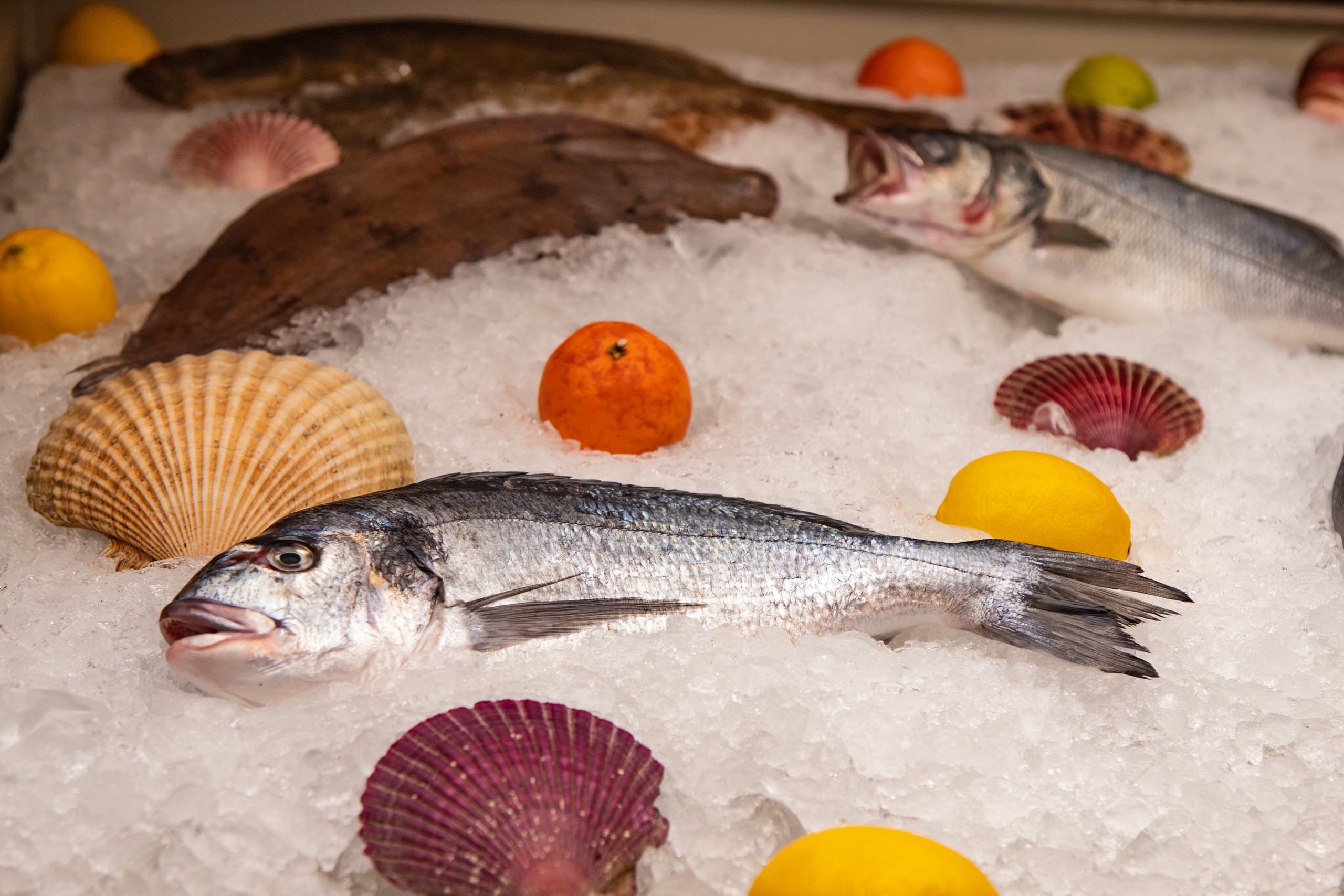 Ресторан Tutto Bene. 14 февраля. Фотограф в Москве и Московской области