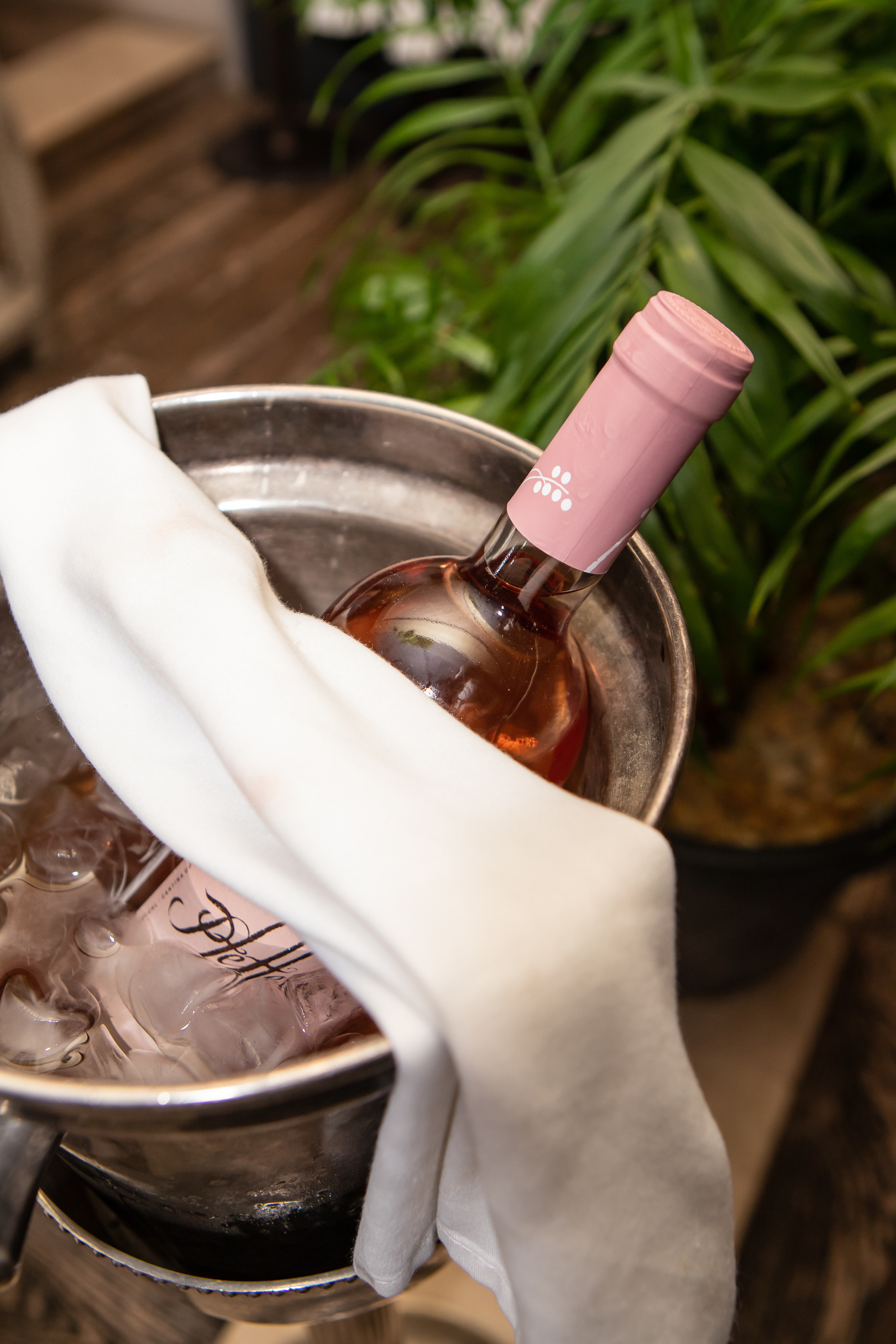 Ресторан Tutto Bene. 14 февраля. Фотограф в Москве и Московской области