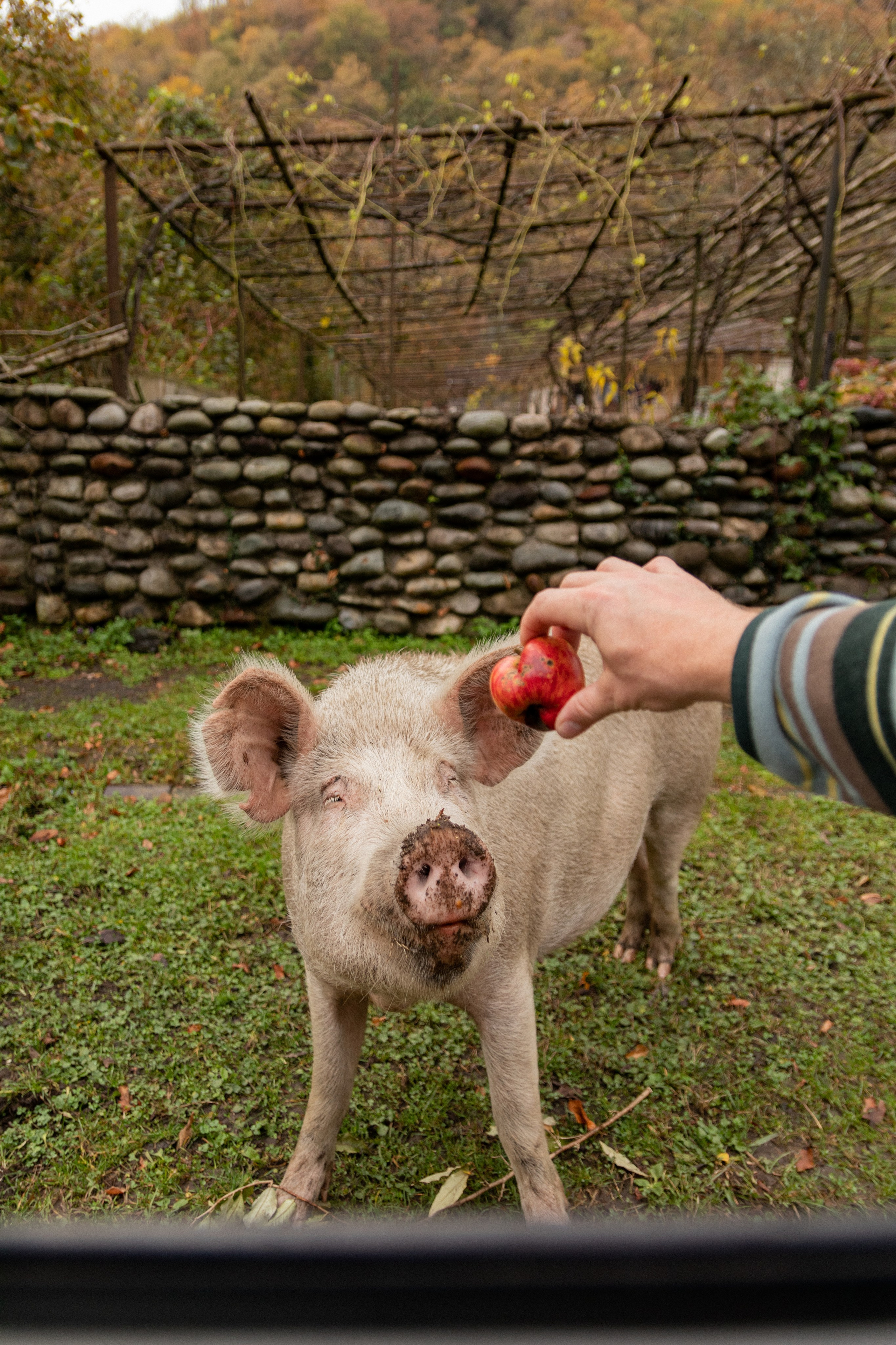 Абхазия. Фотограф Севастополь, Крым. Портретный и репортажный фотограф Коваленко Антонина