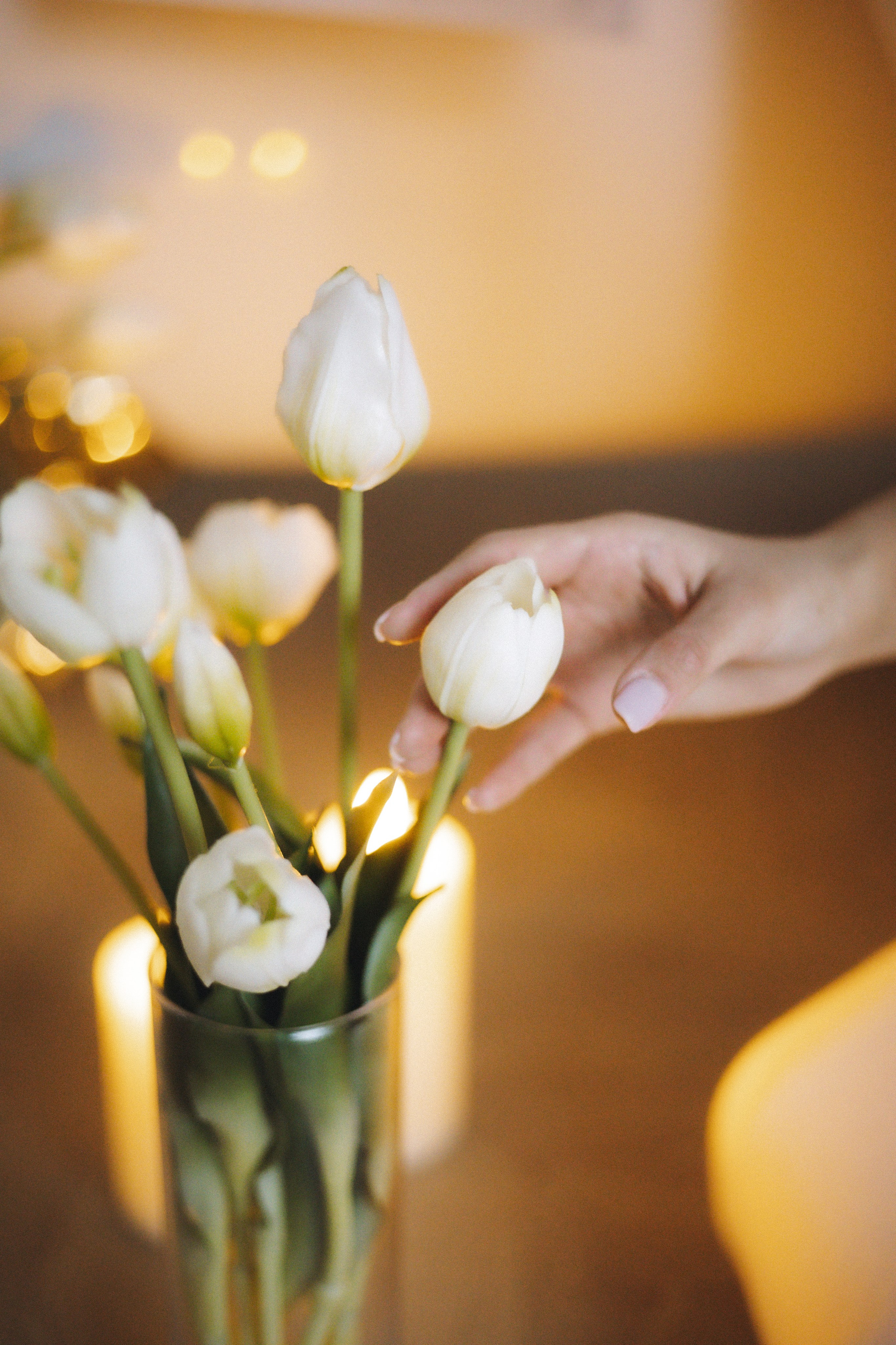 Алина. Свадебный фотограф в Астрахани