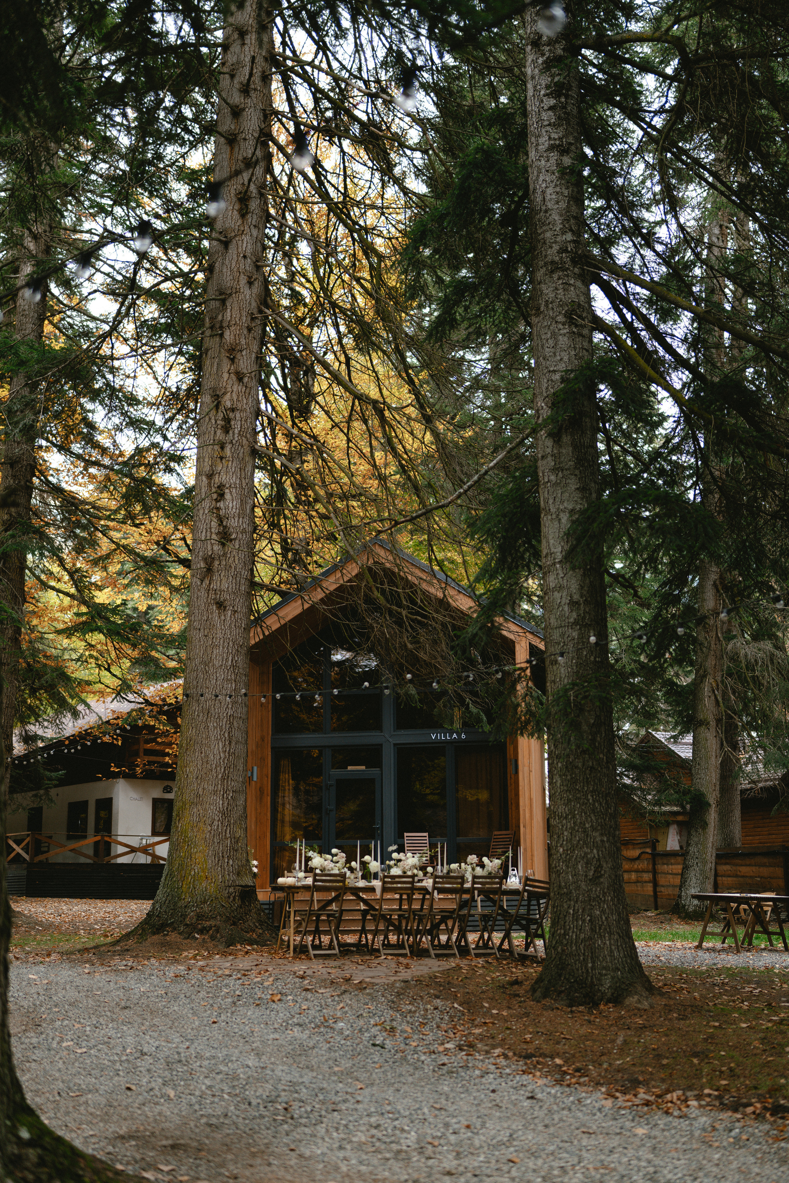 Свадебная церемония в Архызе. Создаю контент для бизнеса- Андрей Корниенко и упаковываю компании и экспертов в Краснодаре