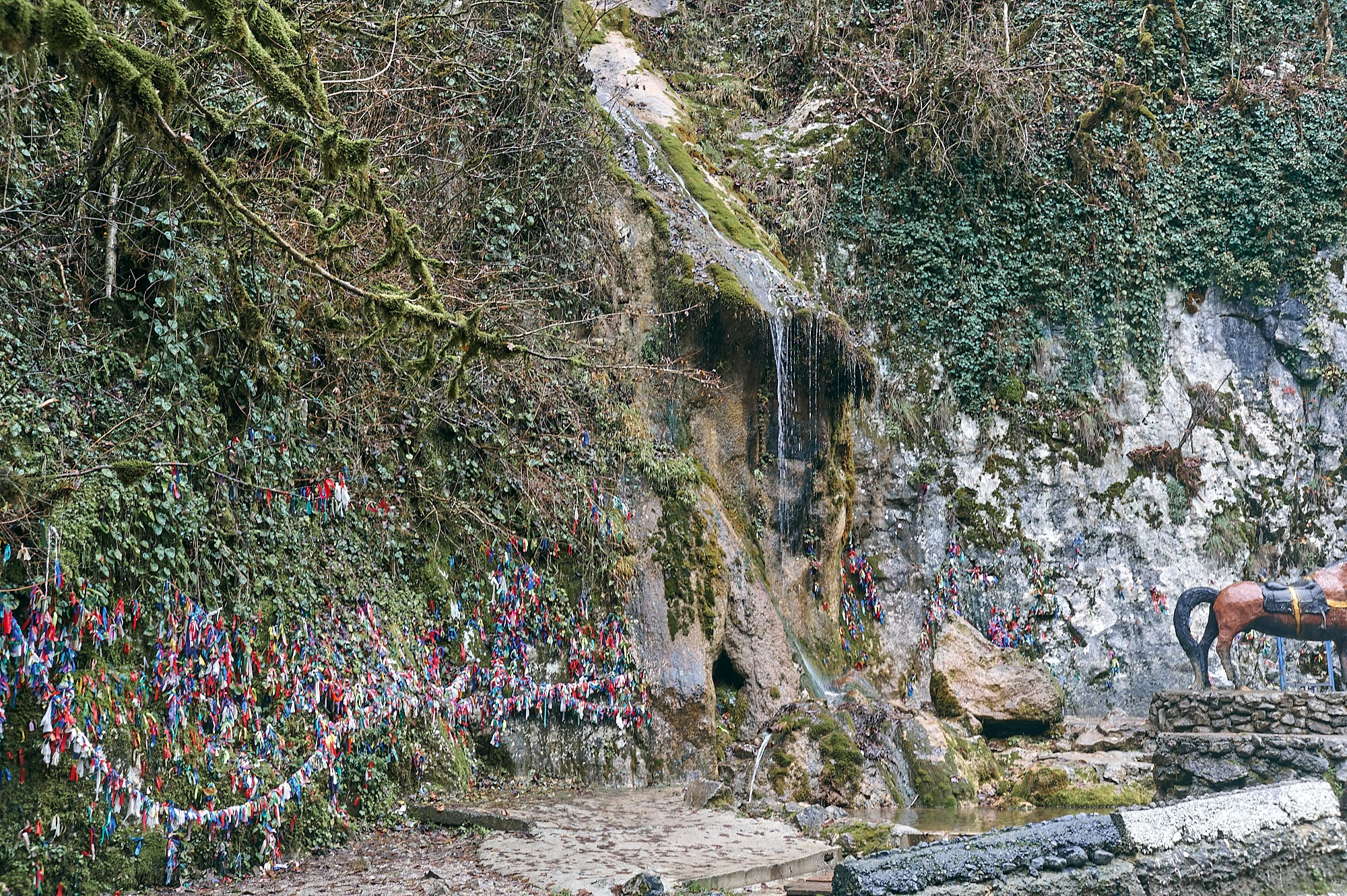 Озеро Рица, Абхазия. Декабрь 2024. Фотографии отовсюду и обо всем