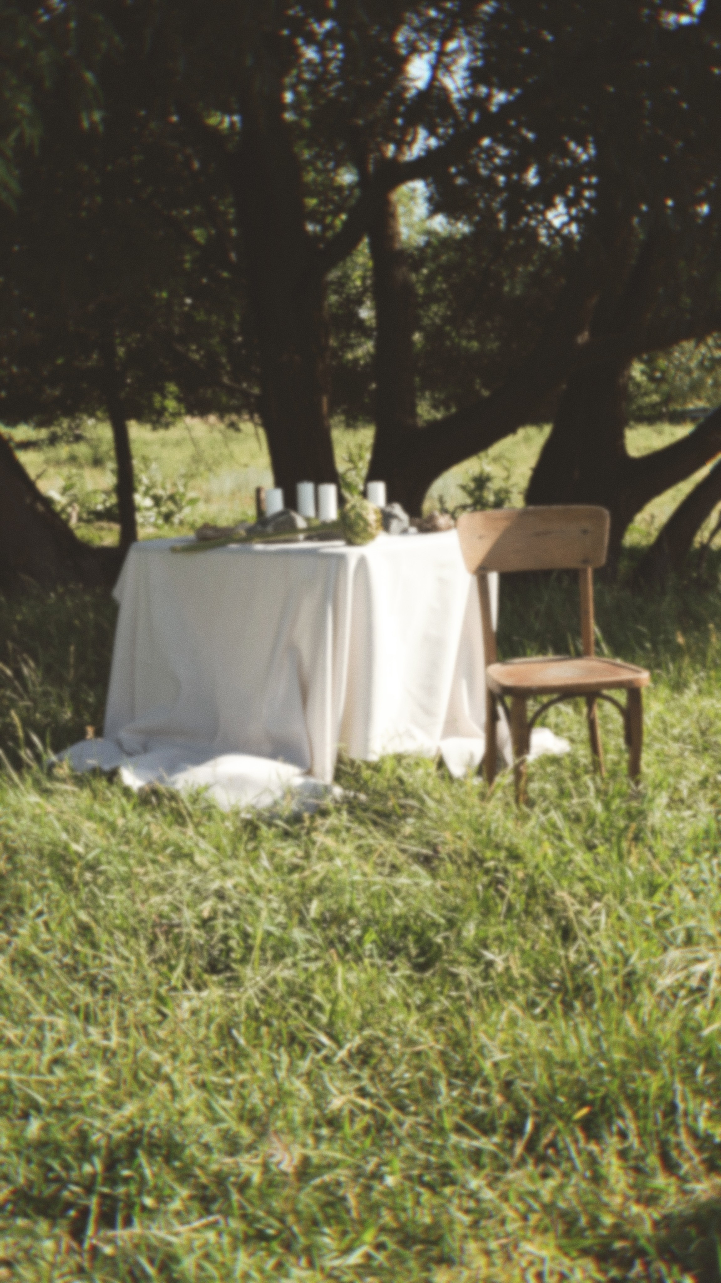 СЕЛЬСКИЙ VOGUE. Кристина Полянская, Видеограф/фотограф Старый Оскол/Воронеж