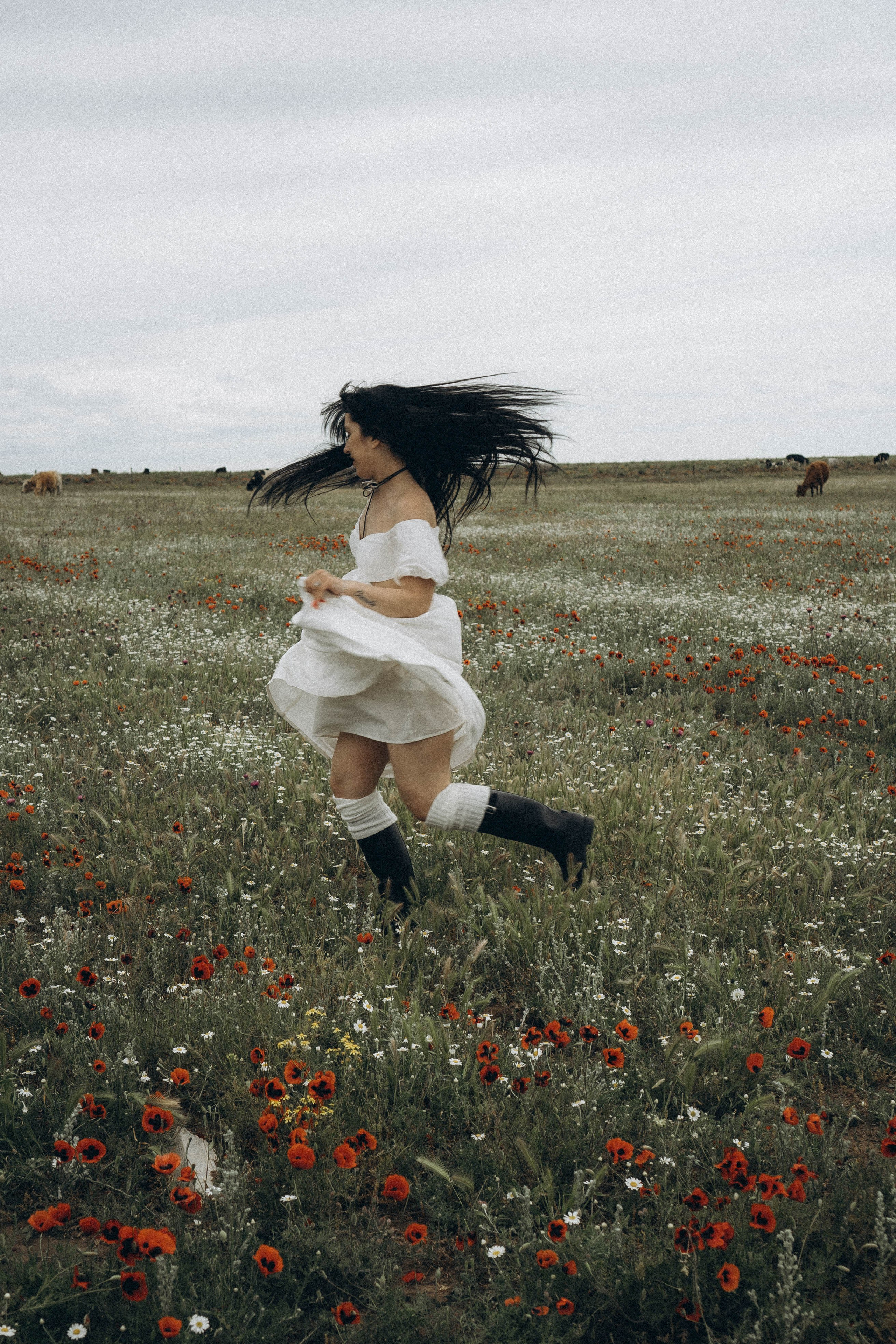 Маковое поле. Профессиональный фотограф, Санкт-Петербург — Виктория Богомолова