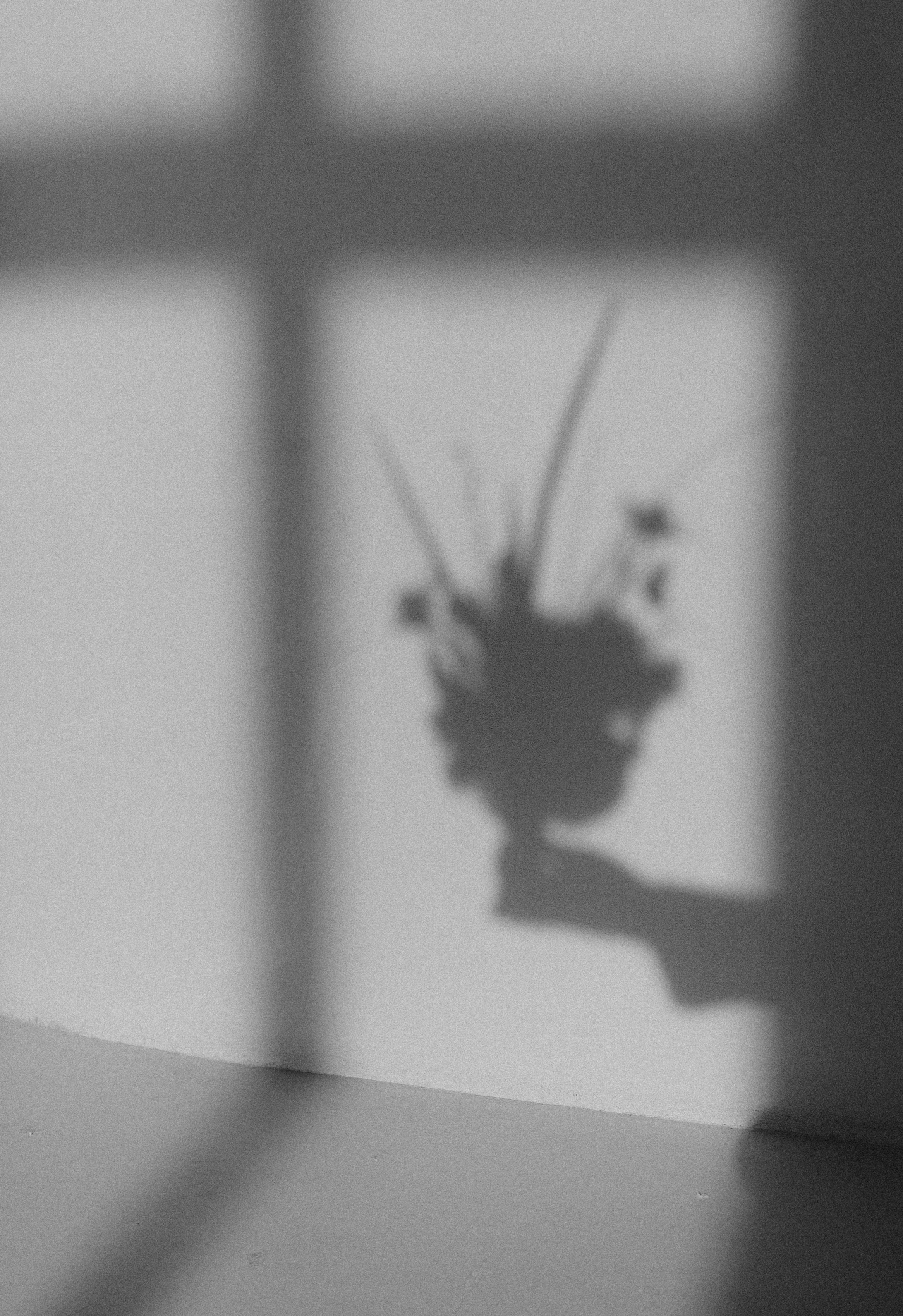 Там, где начинается «мы»