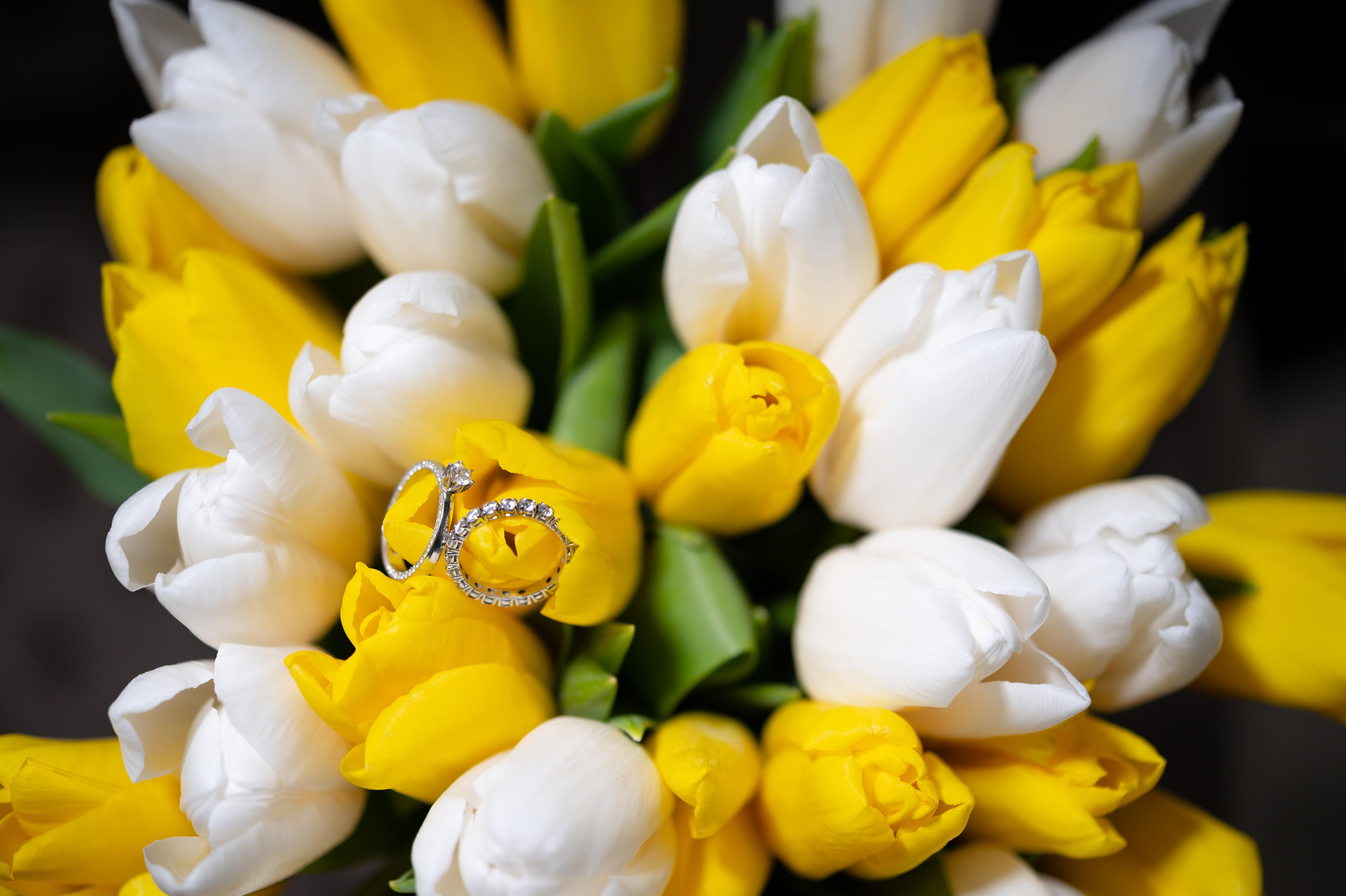 Свадьба Антона и Лизы. Свадебный видеограф в Москве Никонова Анна