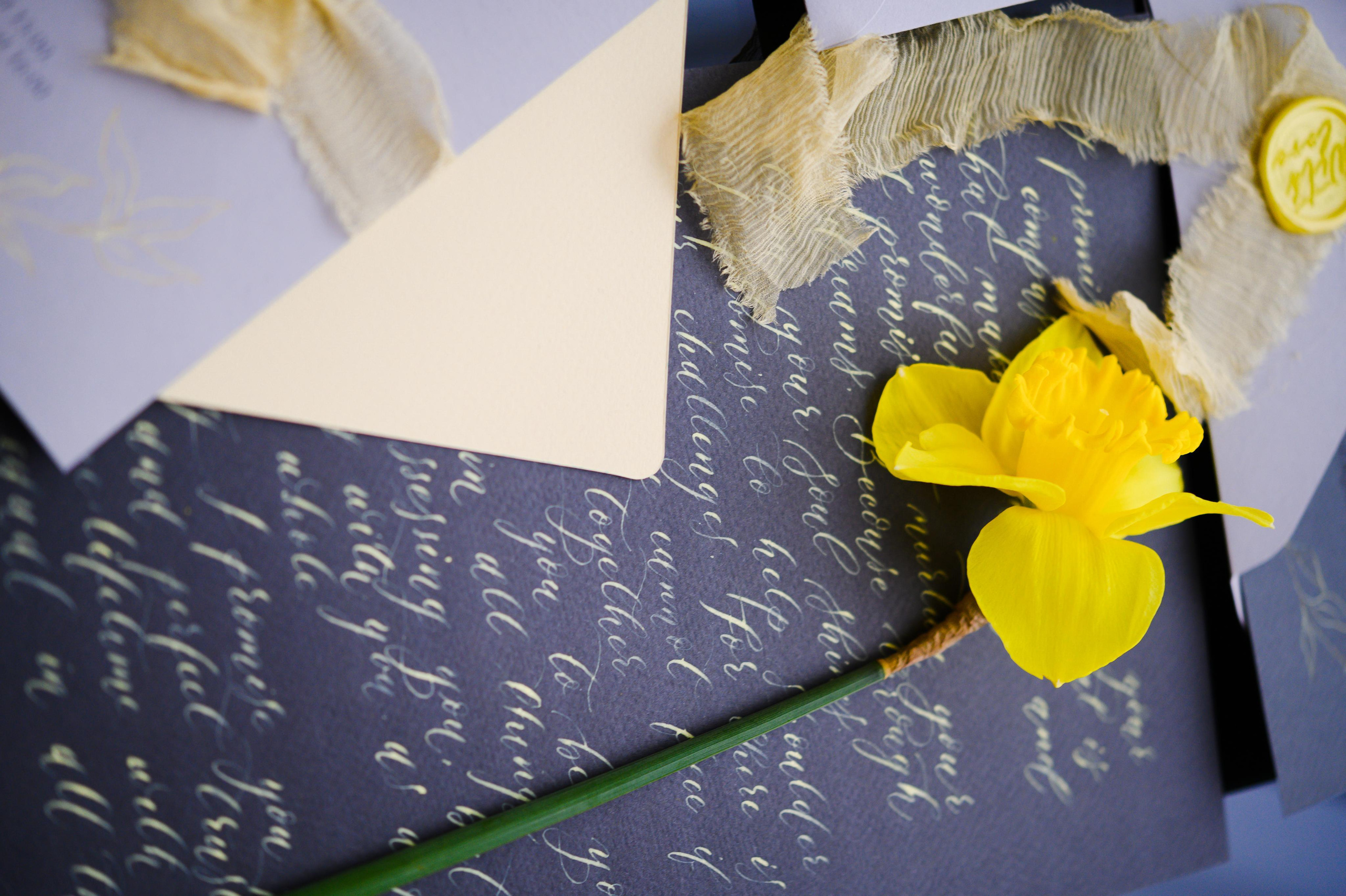 Лиза и Антон. Свадебный видеограф в Москве Никонова Анна