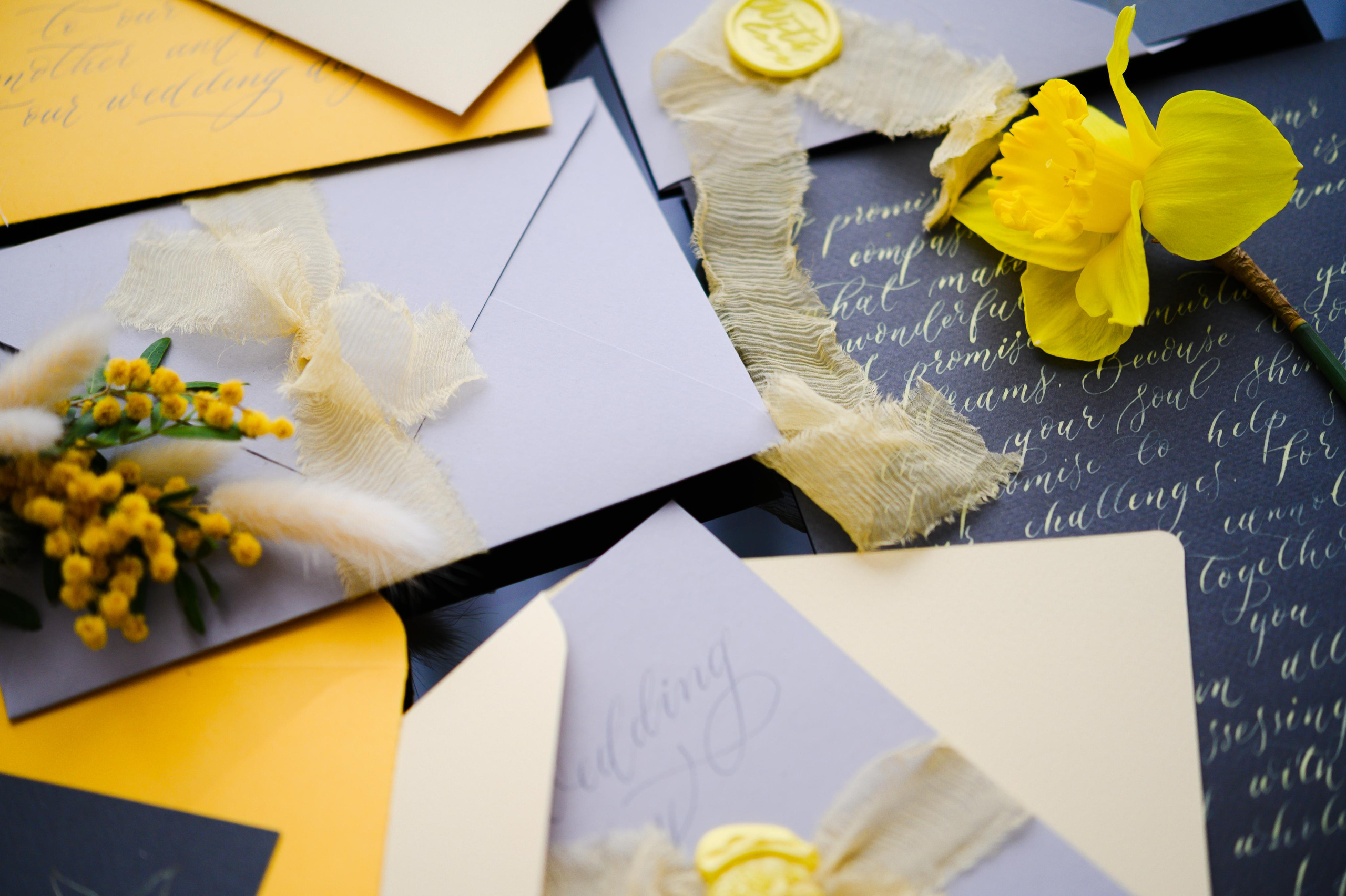 Свадьба Антона и Лизы. Свадебный видеограф в Москве Никонова Анна