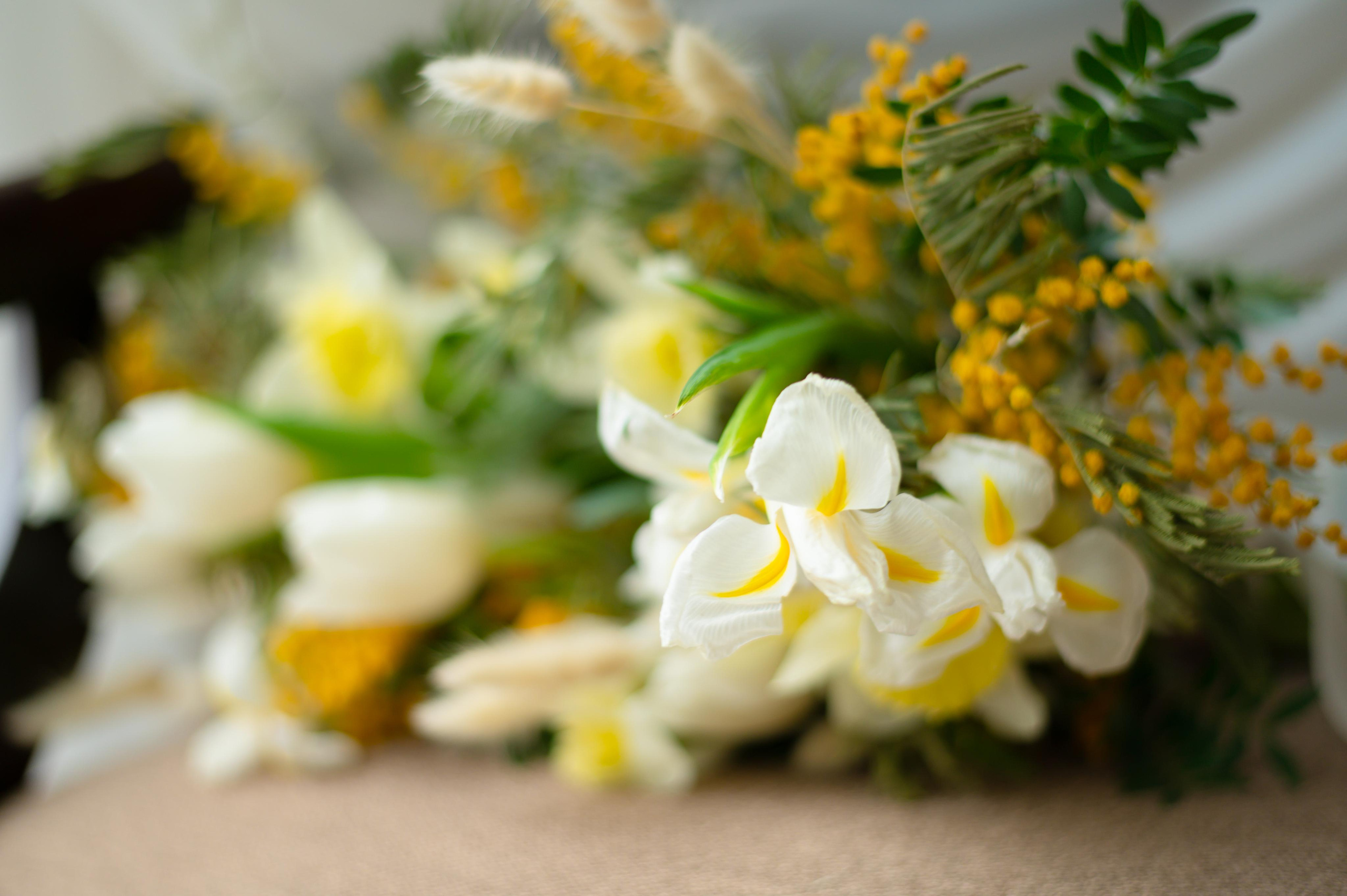 Свадьба Антона и Лизы. Свадебный видеограф в Москве Никонова Анна