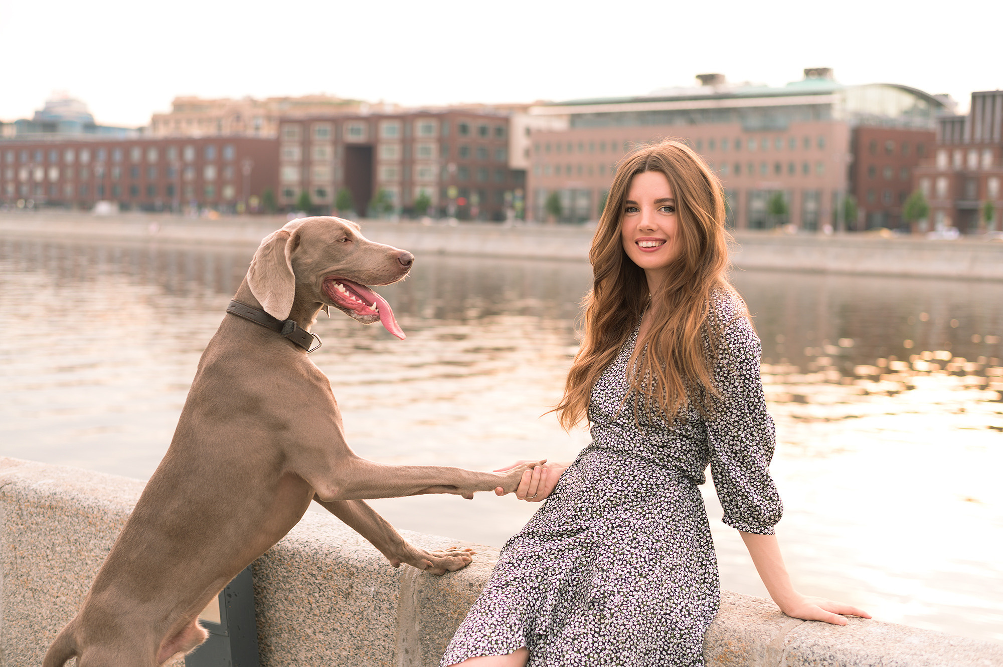 Кристина и Швепс. Свадебный видеограф и фотограф в Москве Никонова Анна