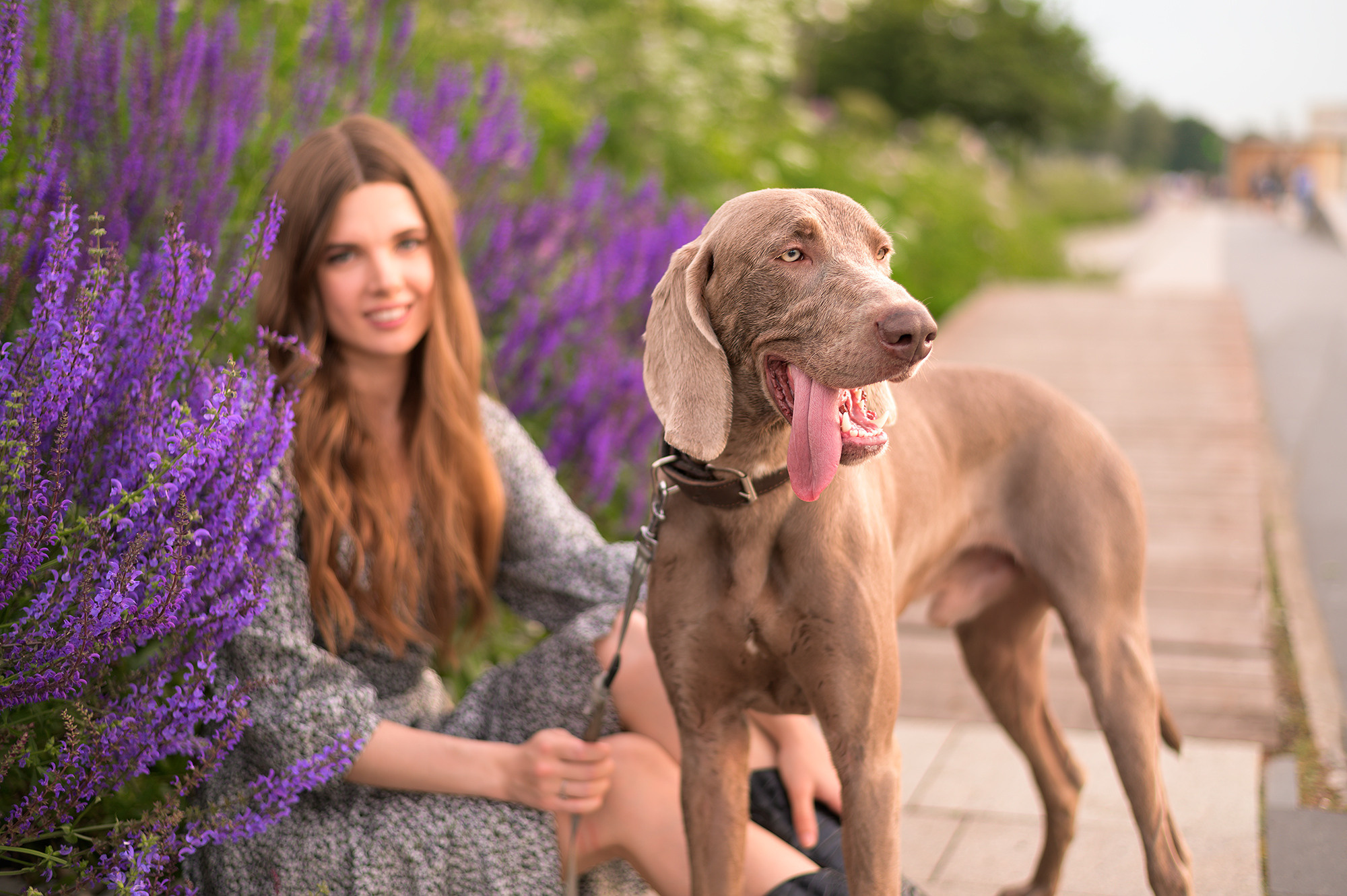 Индивидуальная съемка для Кристины и Швепса. Свадебный видеограф в Москве Никонова Анна