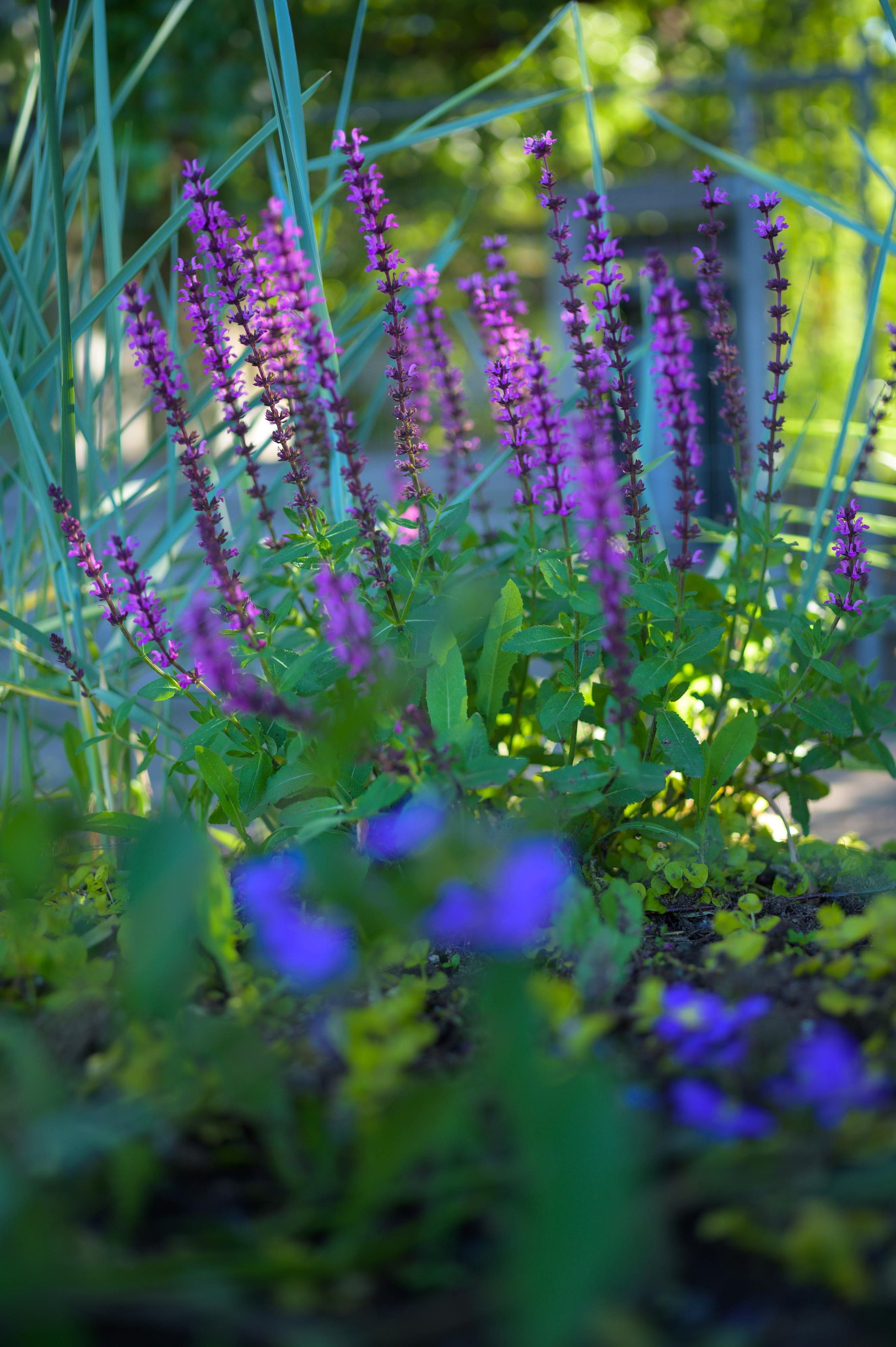 Катя. Свадебный видеограф в Москве Никонова Анна
