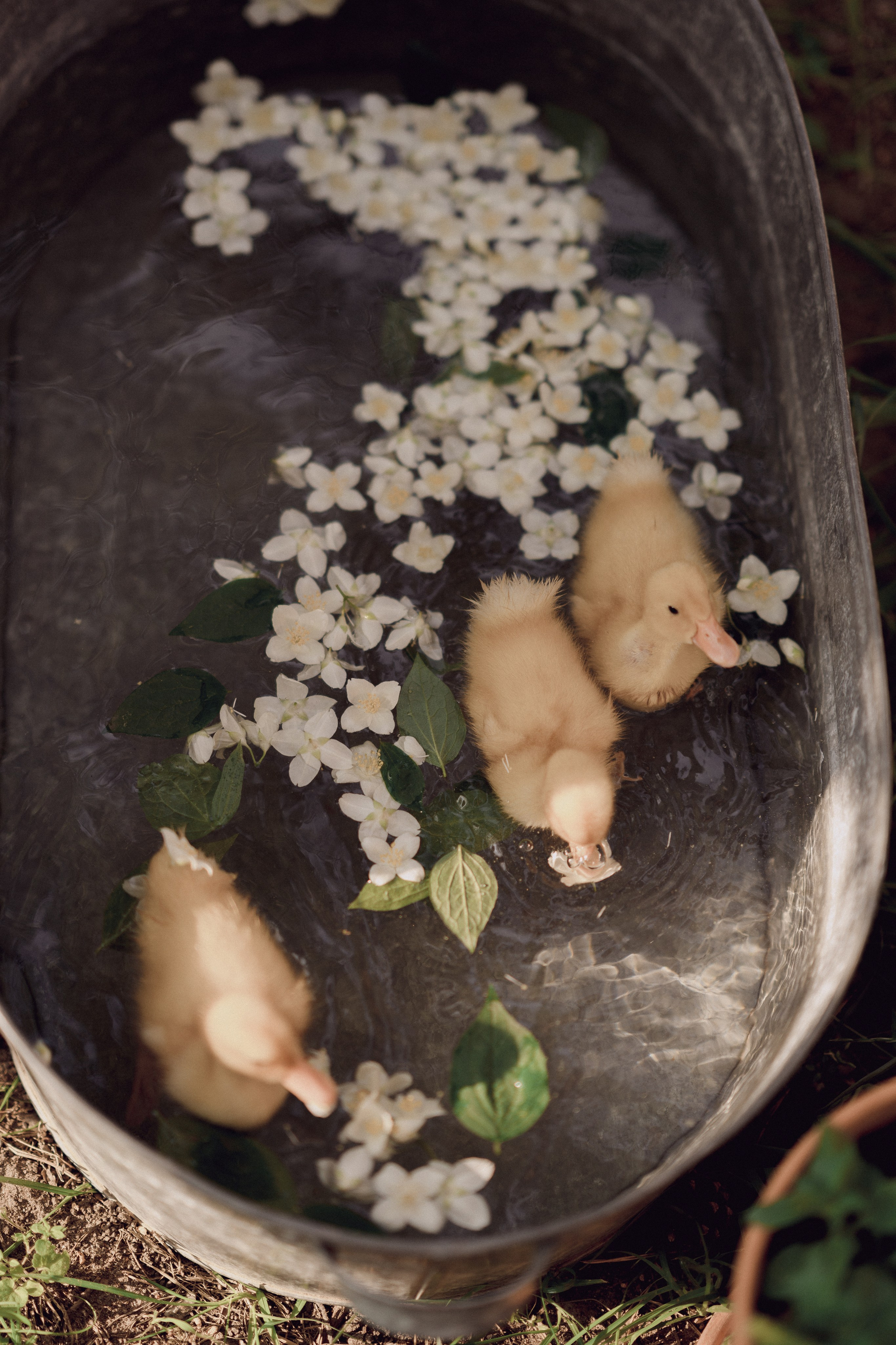 Мира с мамой Анной. Семейный и детский фотограф в Сергиев Посаде, Хотьково Якимчук Любовь