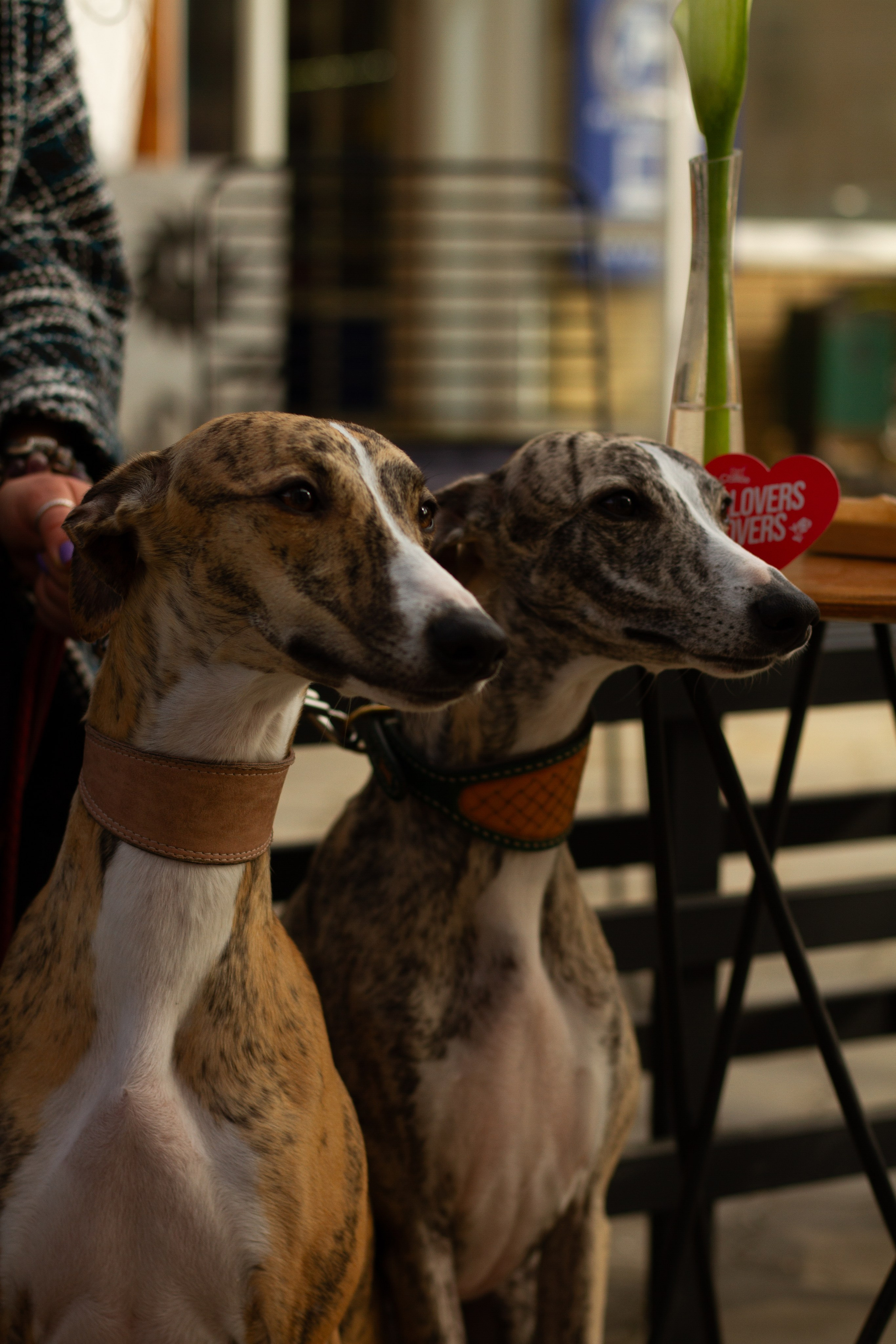 Уличные съемки. Семейный фотограф, женский портрет в Ставрополе