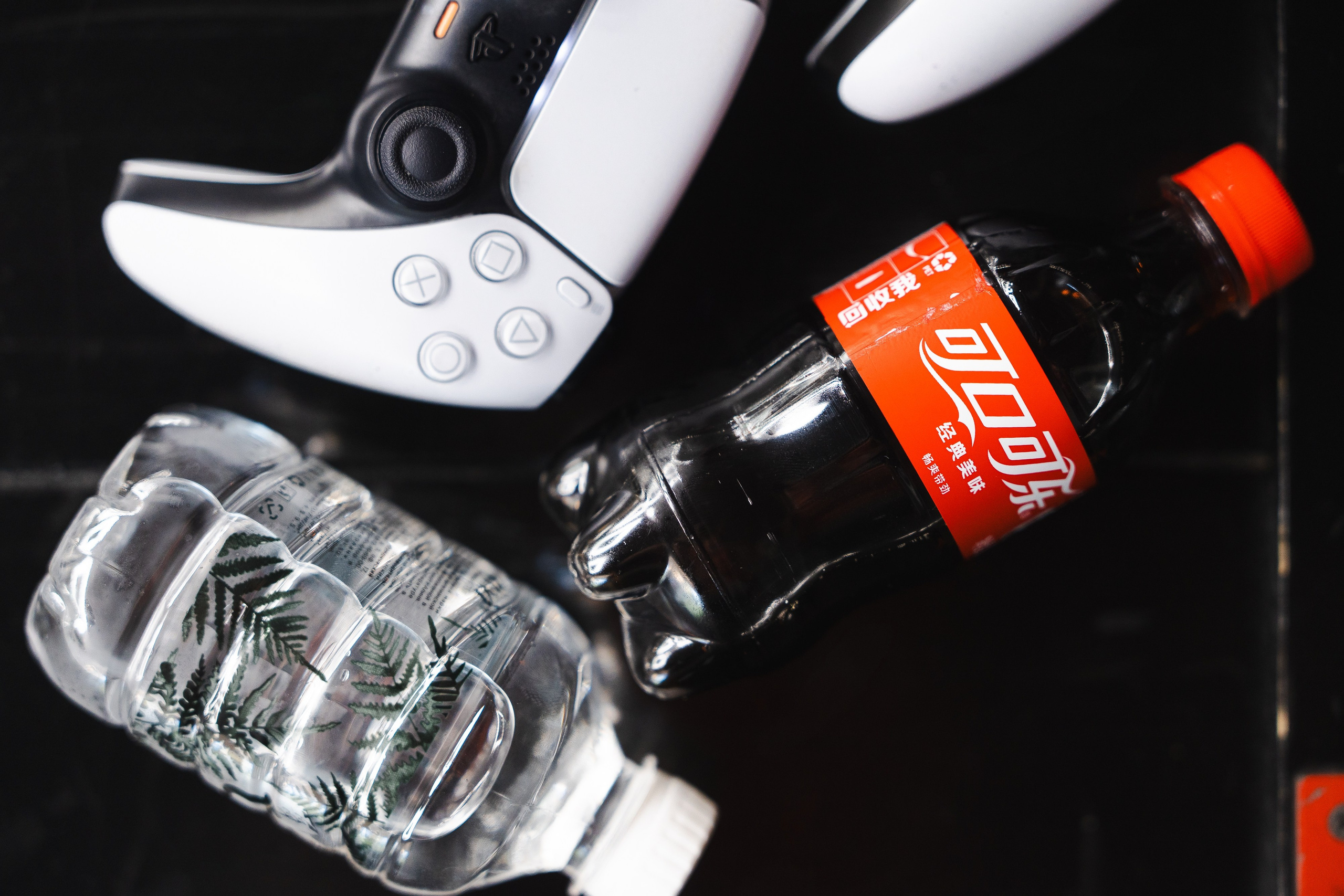 Nordmen. Фотограф Хабаровск