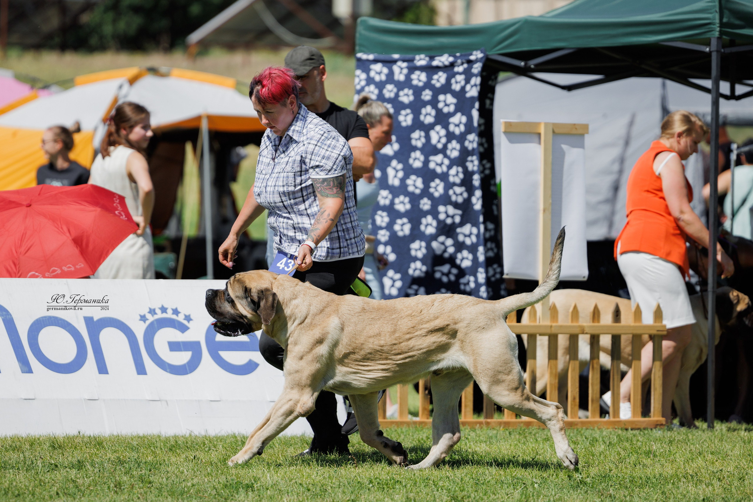 Ереван 3-5.06.2024. Фотограф-анималист Юлия Германика