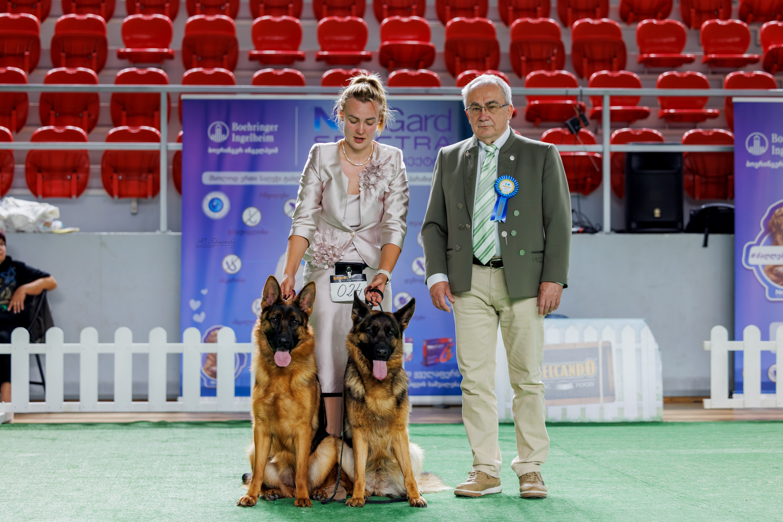 Телави 11-12.10.2025. Фотограф-анималист Юлия Германика