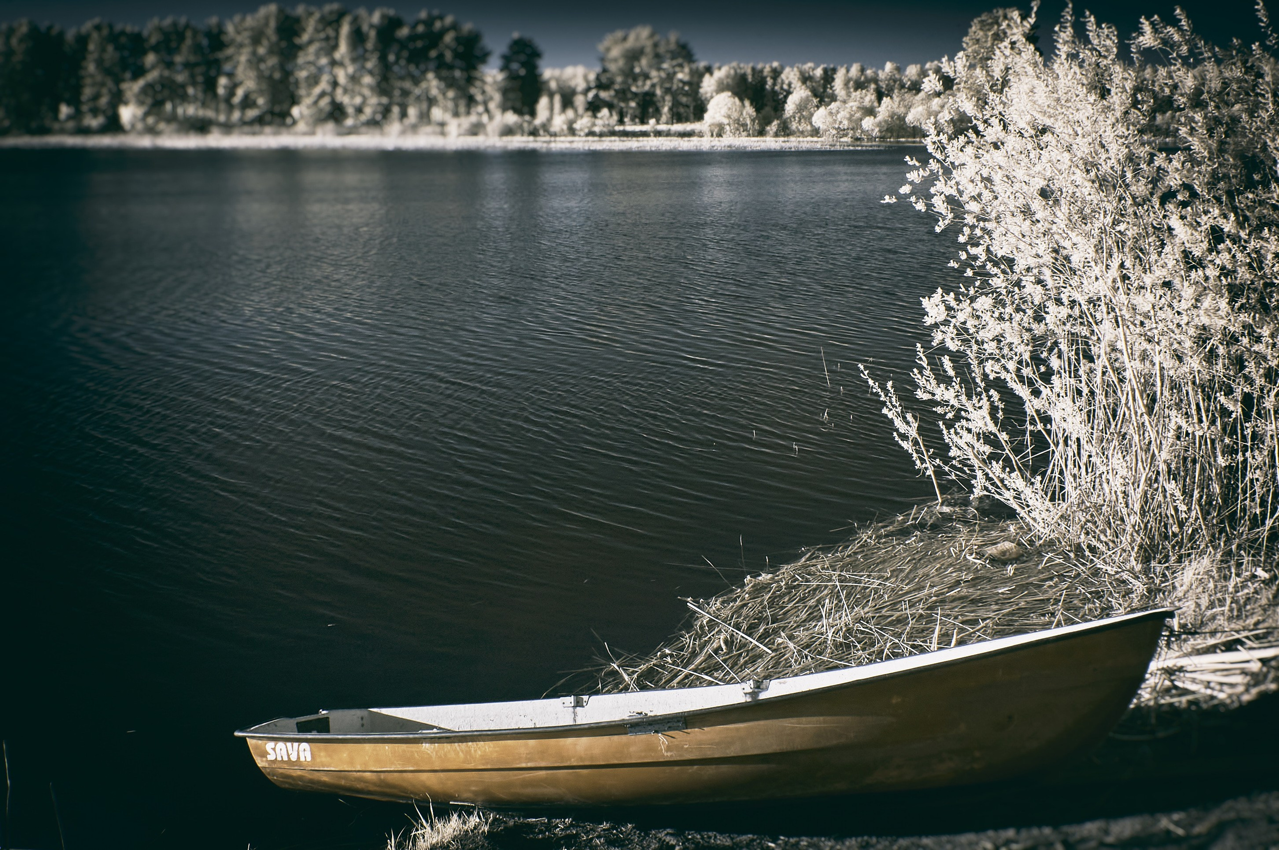 Наследие. Olitron Legacy