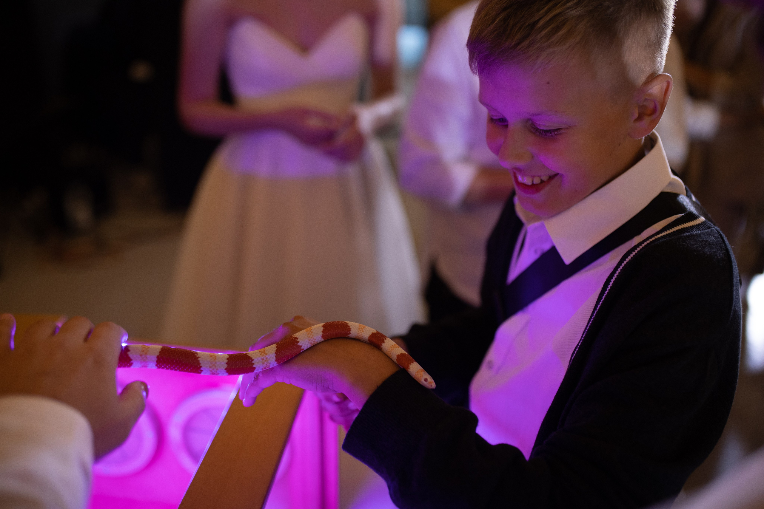 Anastasya/Anton. Свадебный фотограф Павел Князев