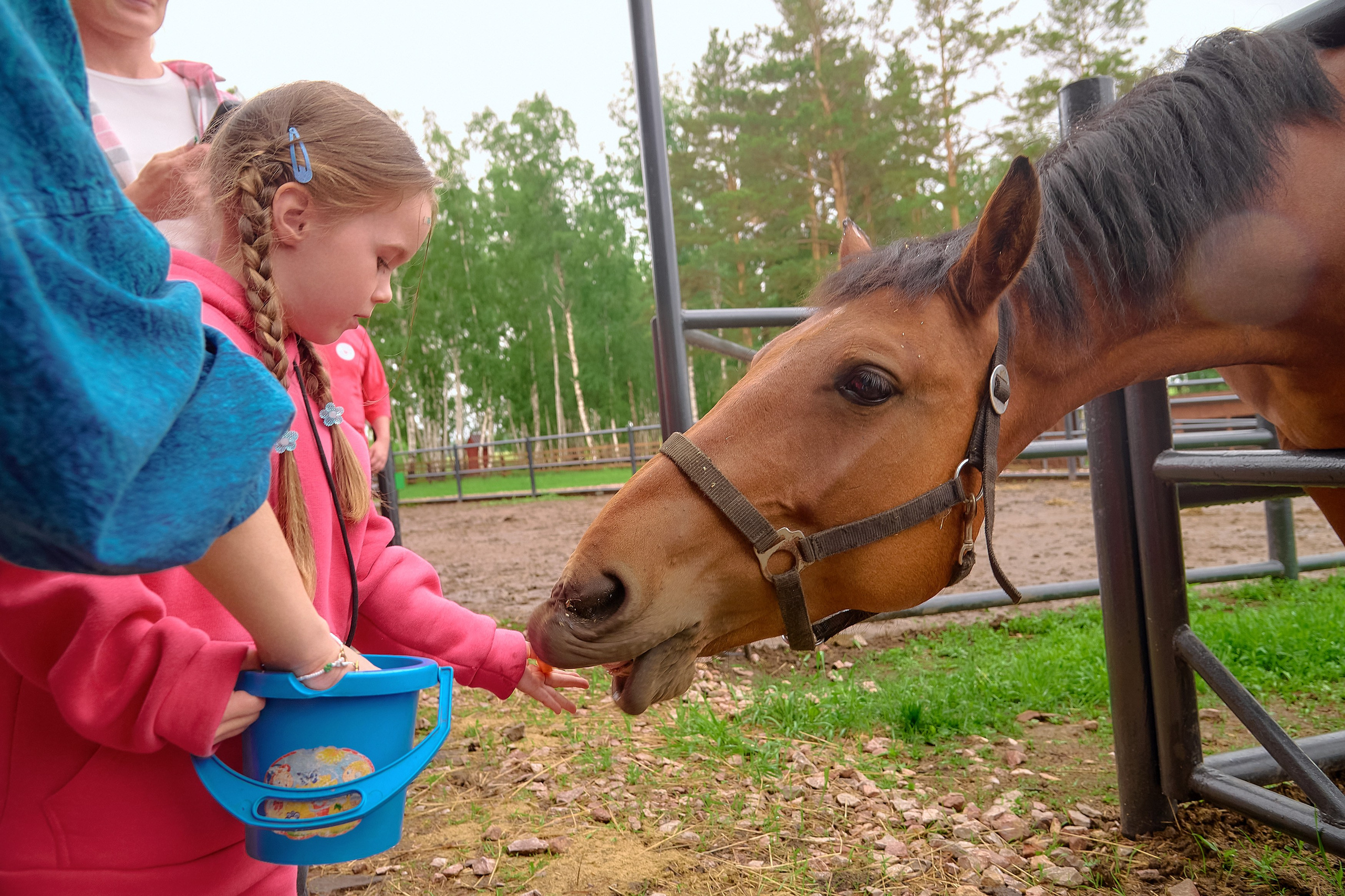 Ранчо «Шарье». Сеть магазинов «Калина-Малина». Фотограф Яковлев Роман — Красноярск