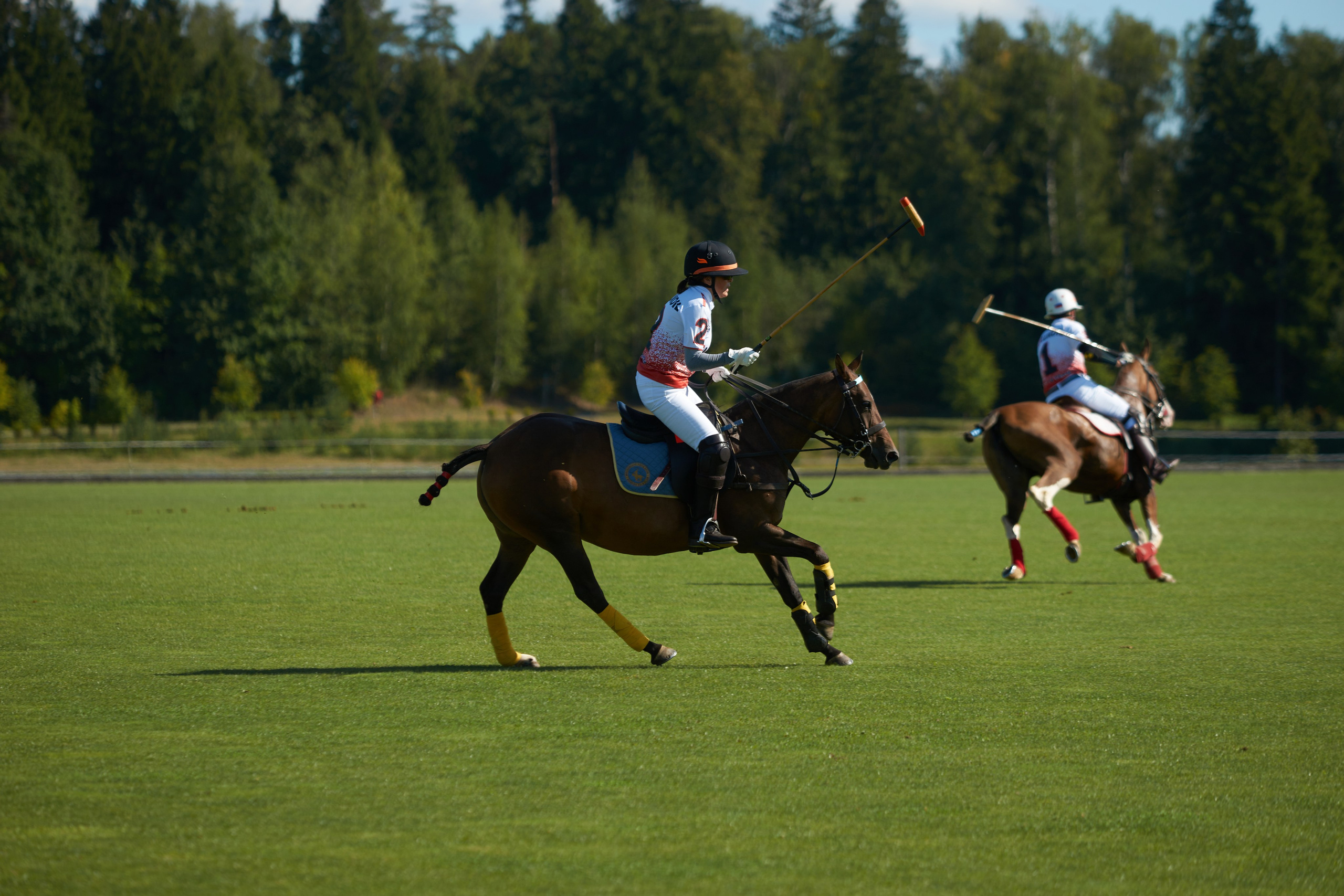 HORSE POLO. Фотограф Наталья Леонова
