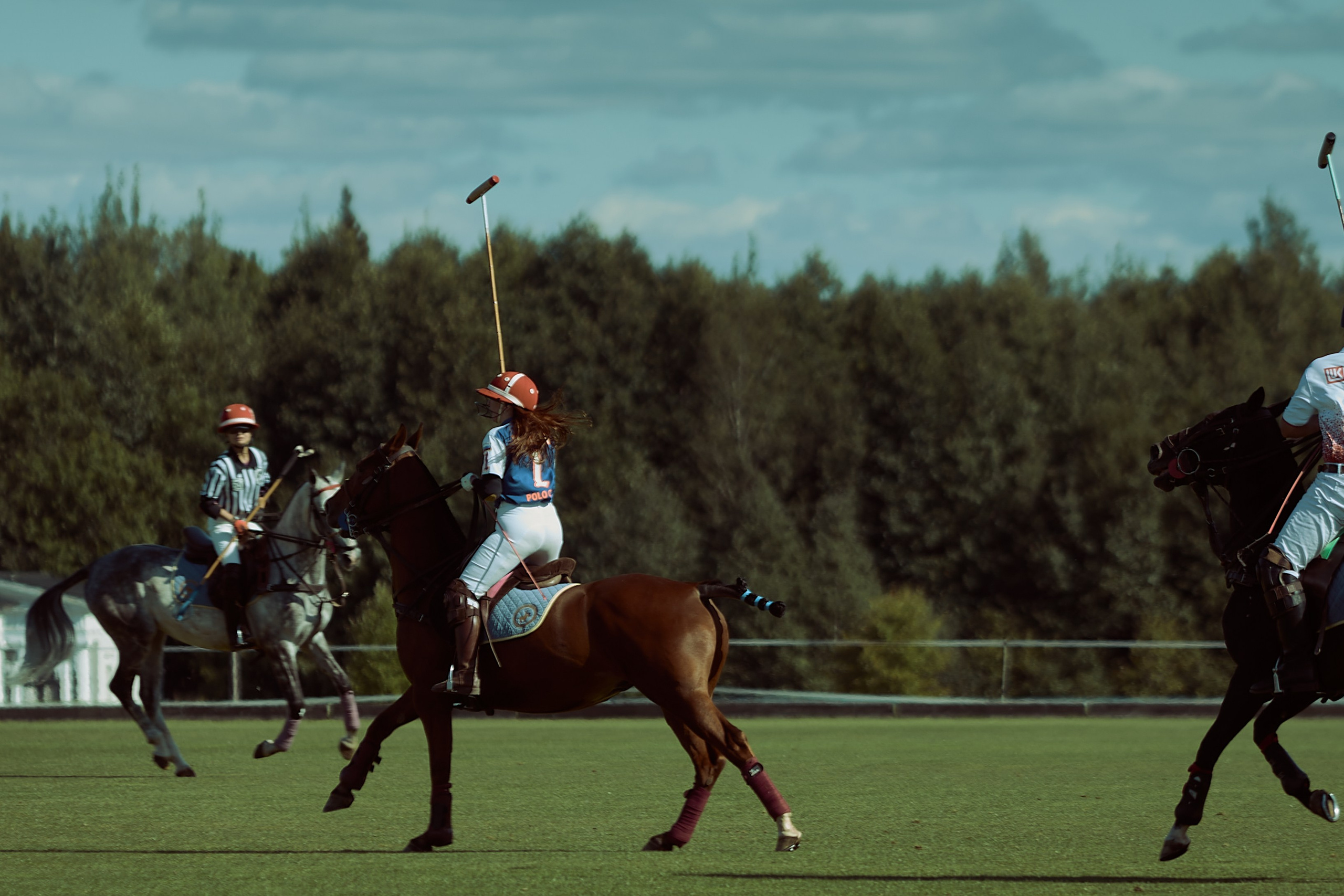 HORSE POLO. Фотограф Наталья Леонова