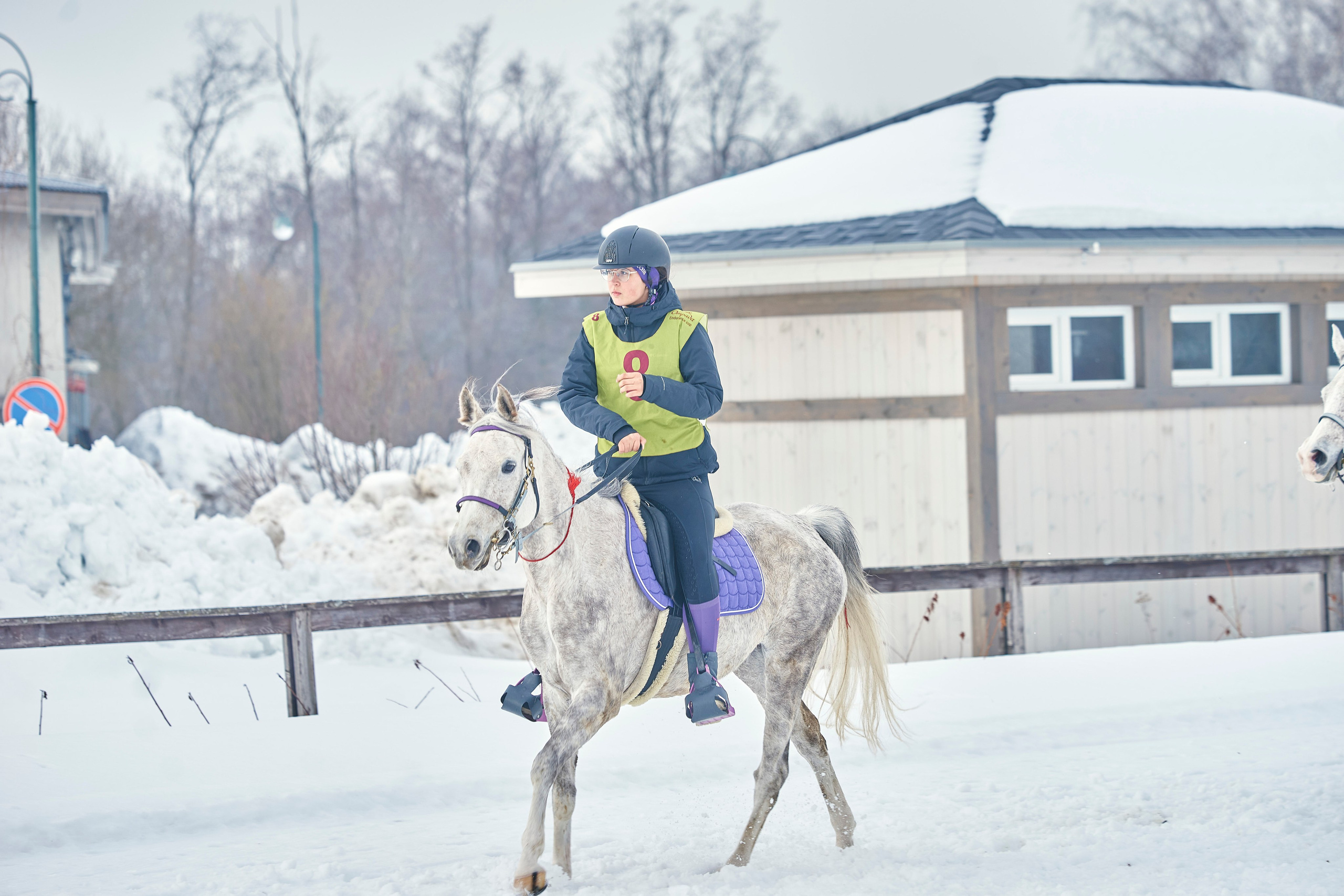 HORSE RACING. Фотограф Наталья Леонова