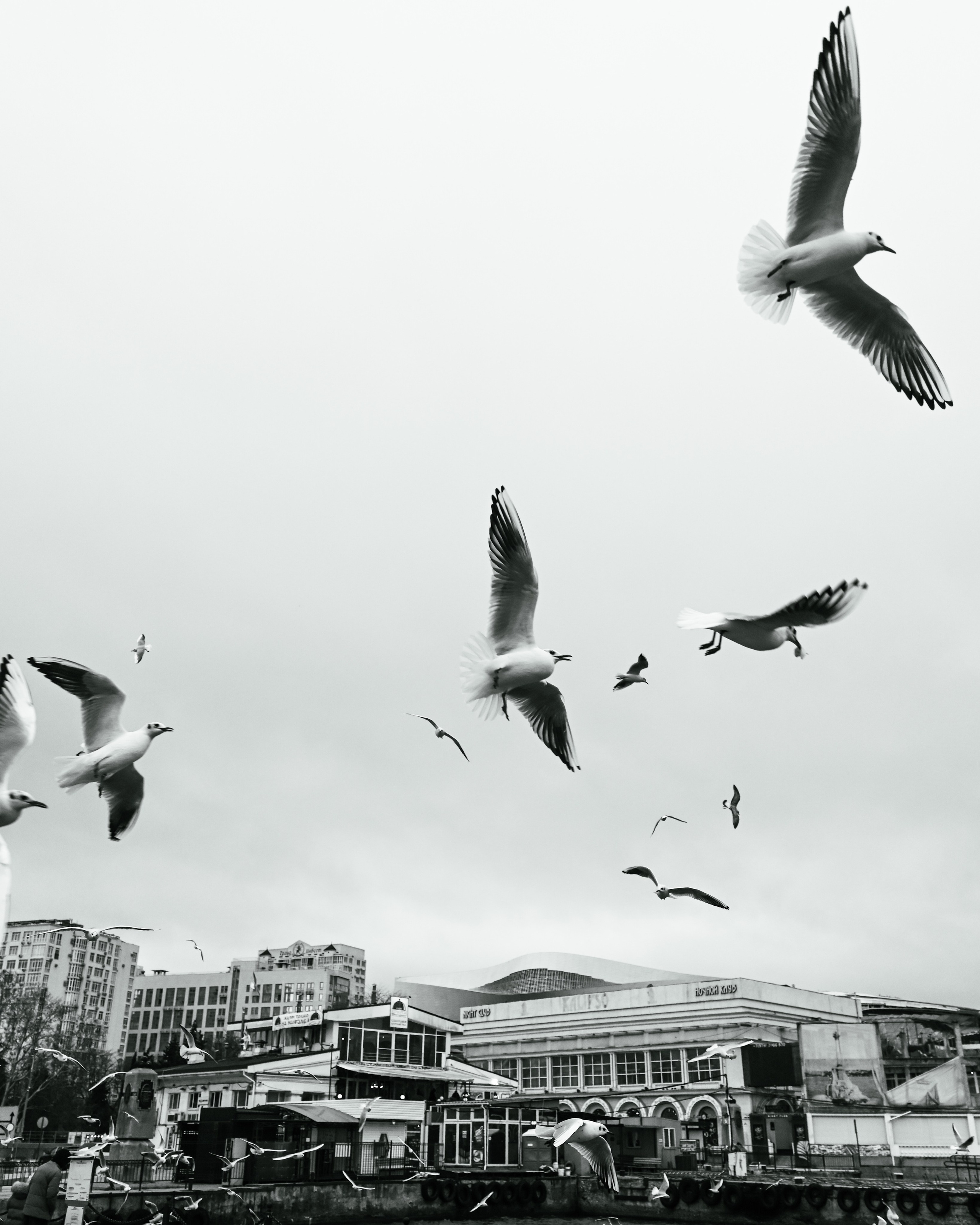 Стрит фото Москва. Фотограф Лобанов Антон, г. Москва