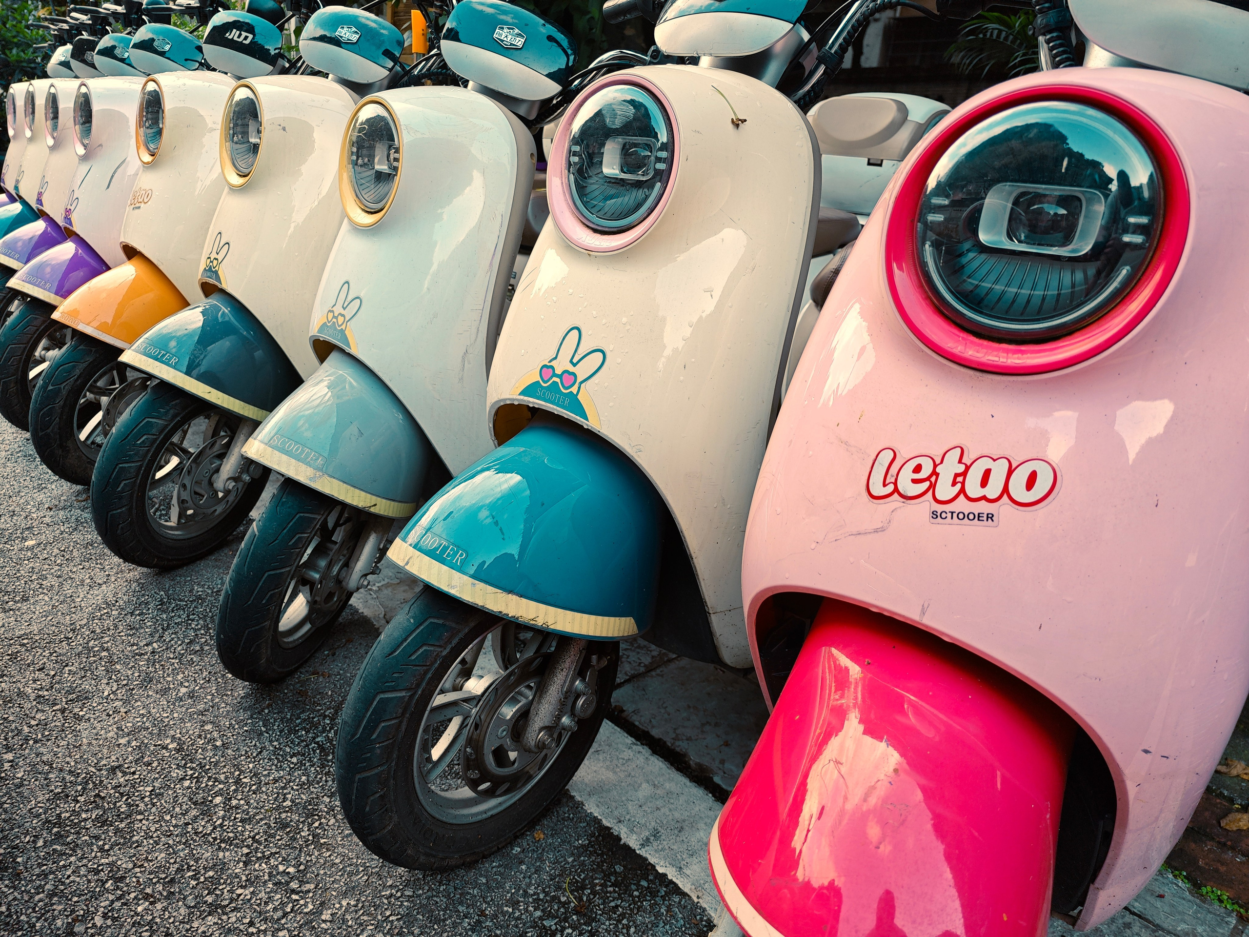 The Great Journey to China. Brjankin.com