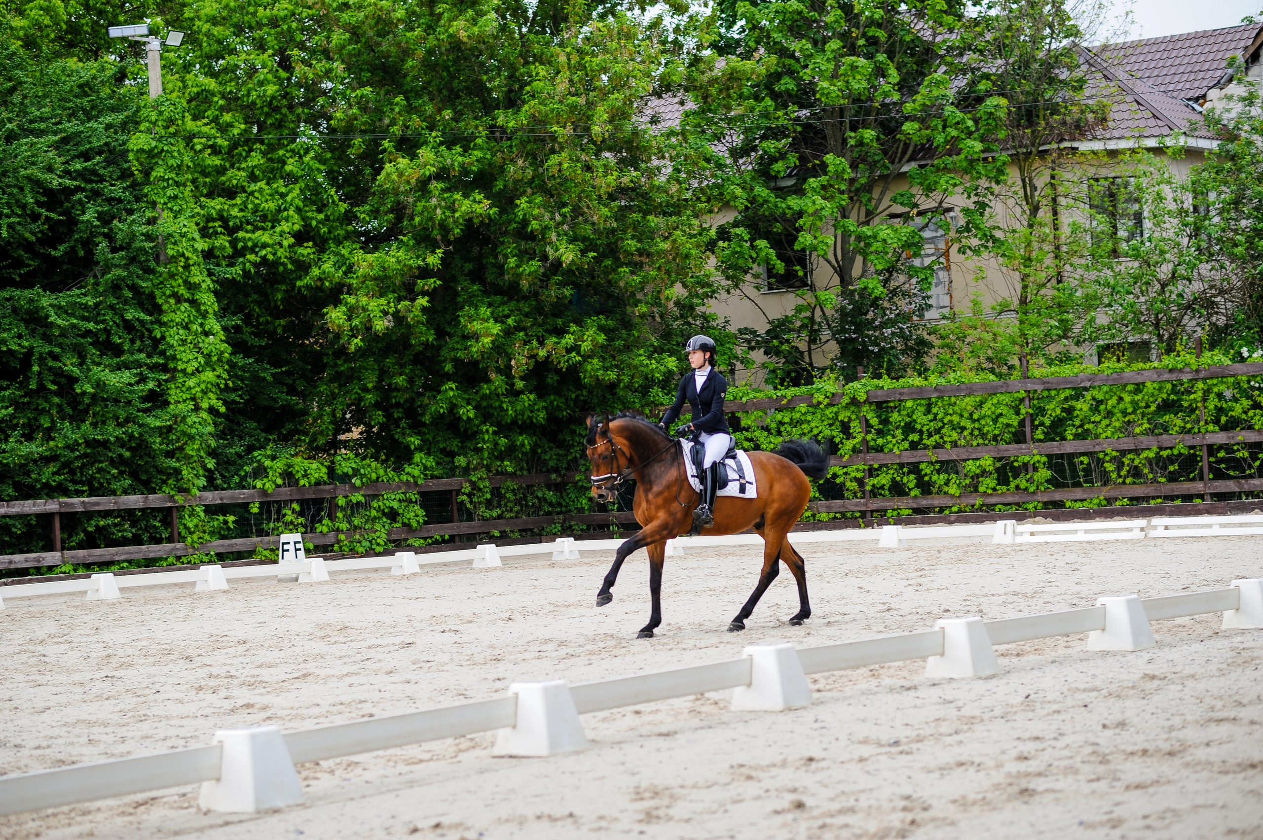 Выездка Репортаж 05.28.2023. Фотограф, визажист. Москва